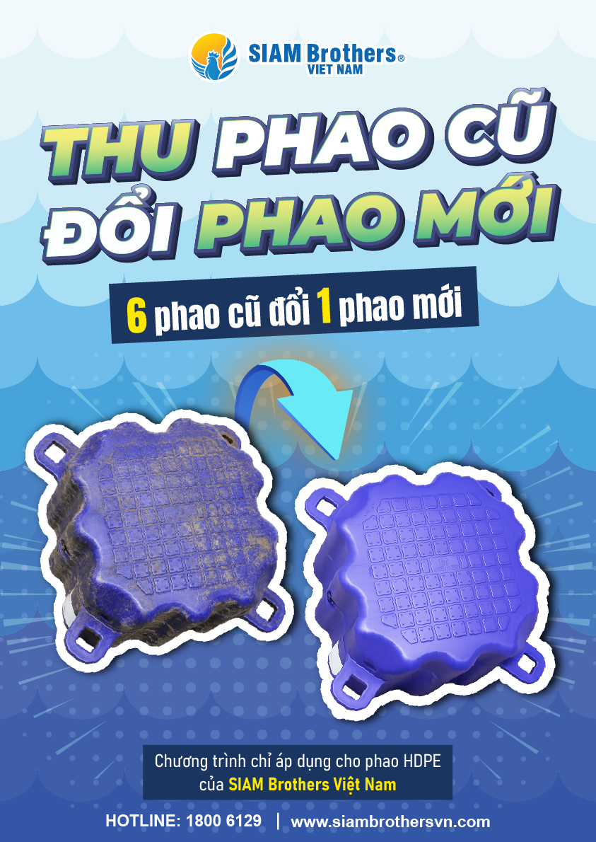 Chương trình thu hồi phao cũ - Đổi lấy phao HDPE mới tại SIAM Brothers Việt Nam