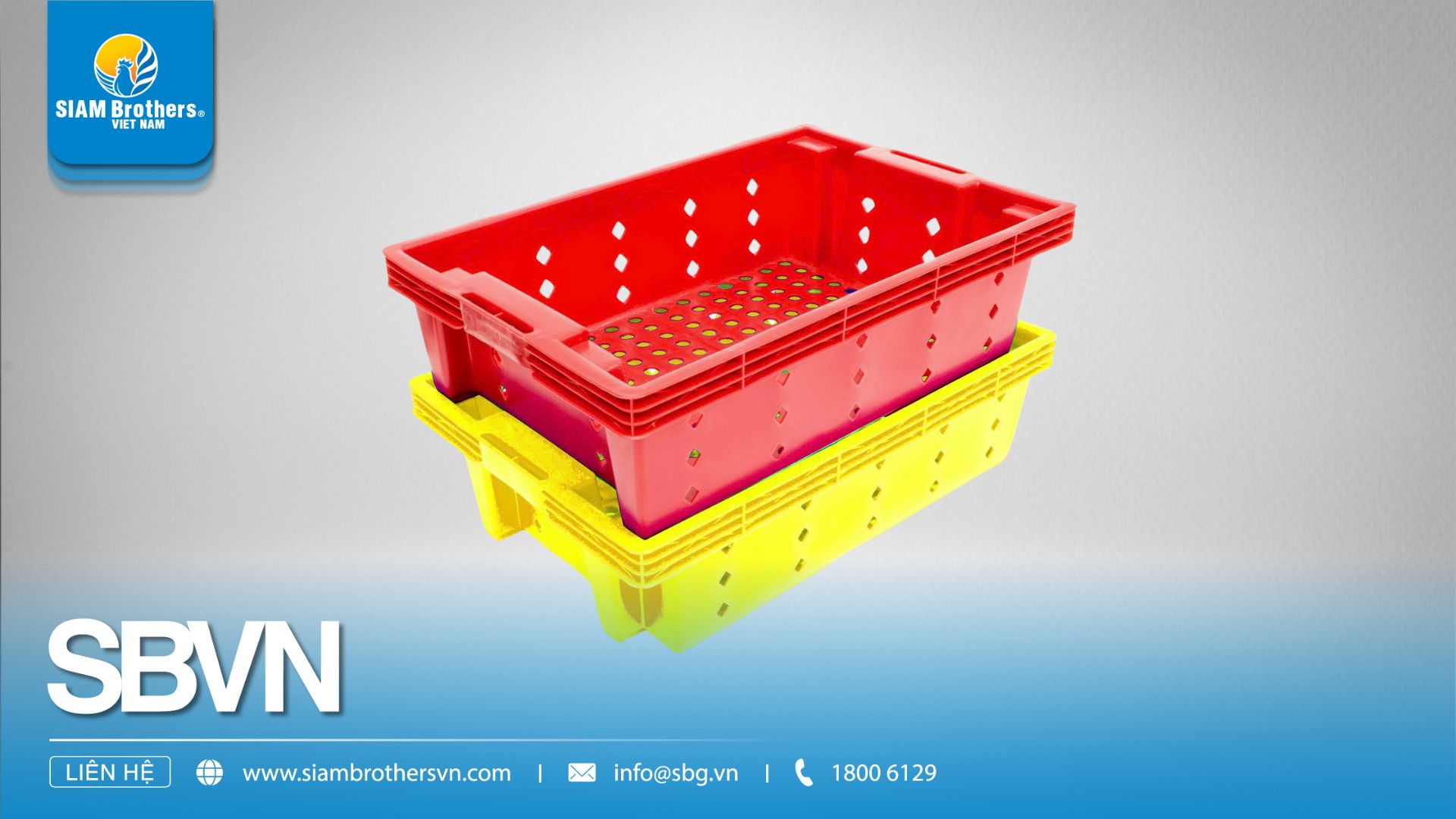 Báo Giá Khay Nhựa HDPE Mới Nhất – Giao Hàng Toàn Quốc