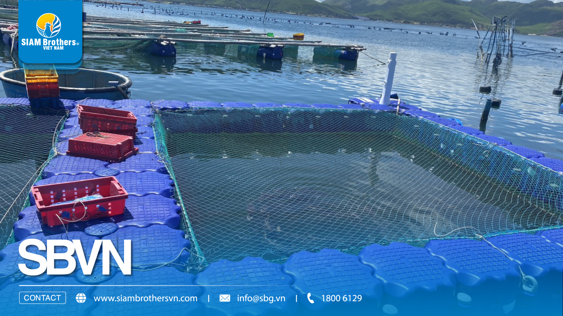Báo giá bè nổi nuôi cá HDPE mới nhất theo kích thước và quy mô
