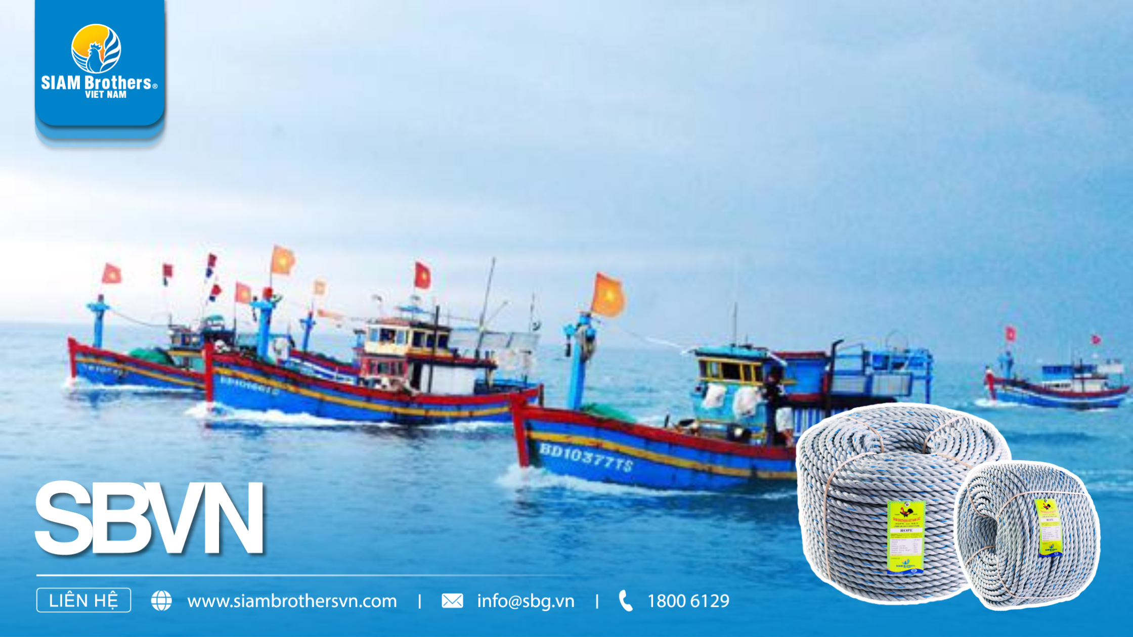 So sánh dây 3 tao và dây 4 tao: Loại nào phù hợp nhất cho nhu cầu của bạn?