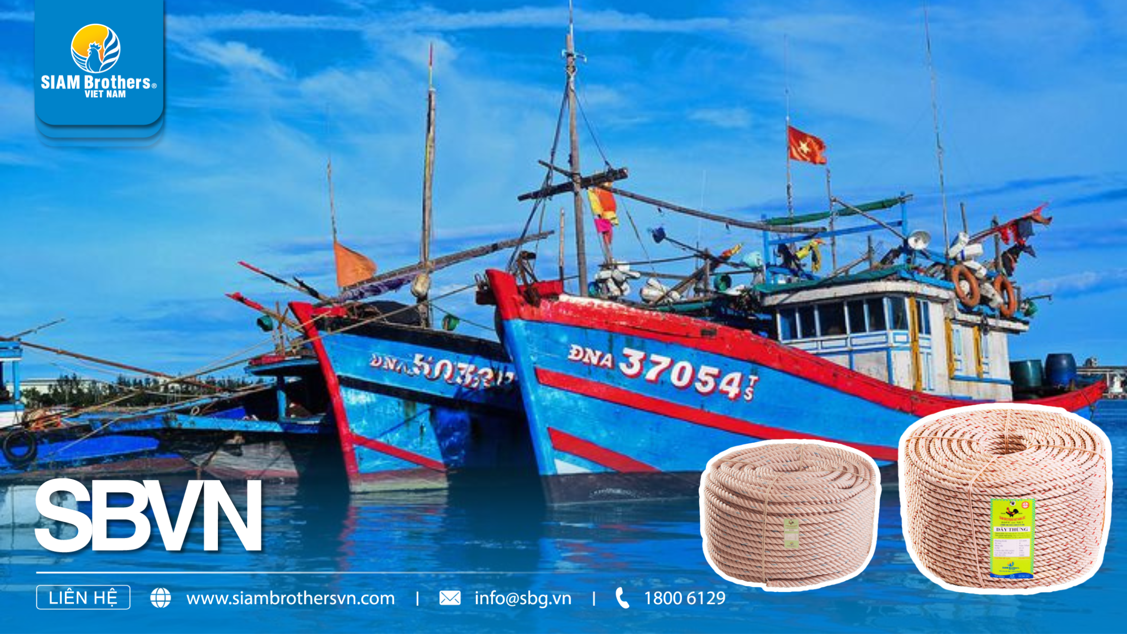 So sánh dây 3 tao và dây 4 tao: Loại nào phù hợp nhất cho nhu cầu của bạn?