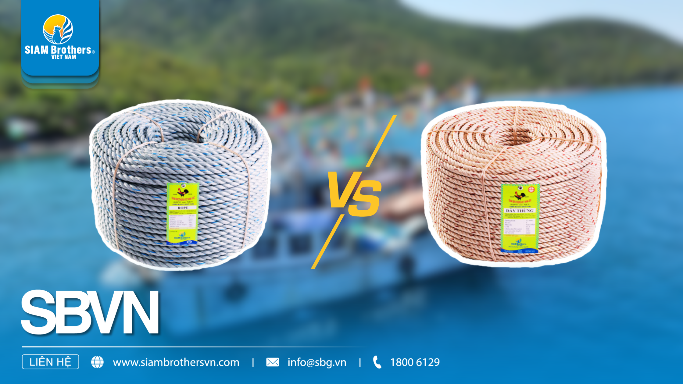 So sánh dây 3 tao và dây 4 tao: Loại nào phù hợp nhất cho nhu cầu của bạn?