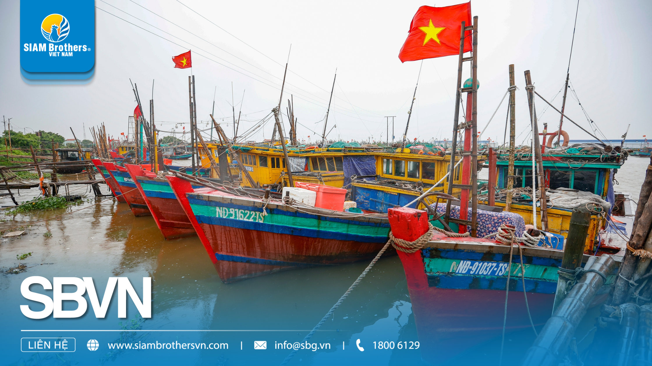 So sánh dây 3 tao và dây 4 tao: Loại nào phù hợp nhất cho nhu cầu của bạn?