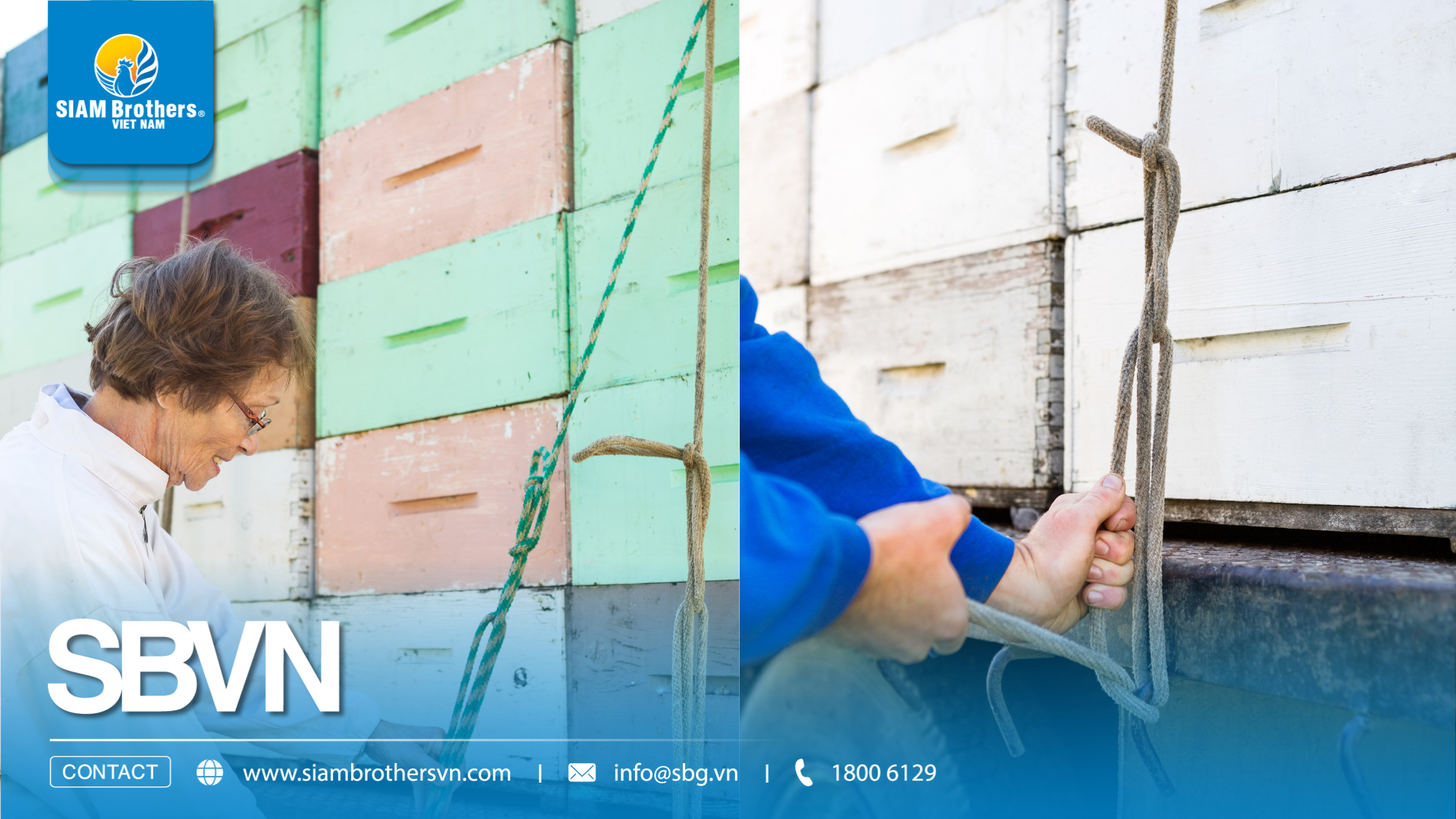 Top 3 loại dây buộc hàng hóa phổ biến nhất hiện nay và cách lựa chọn đúng nhu cầu