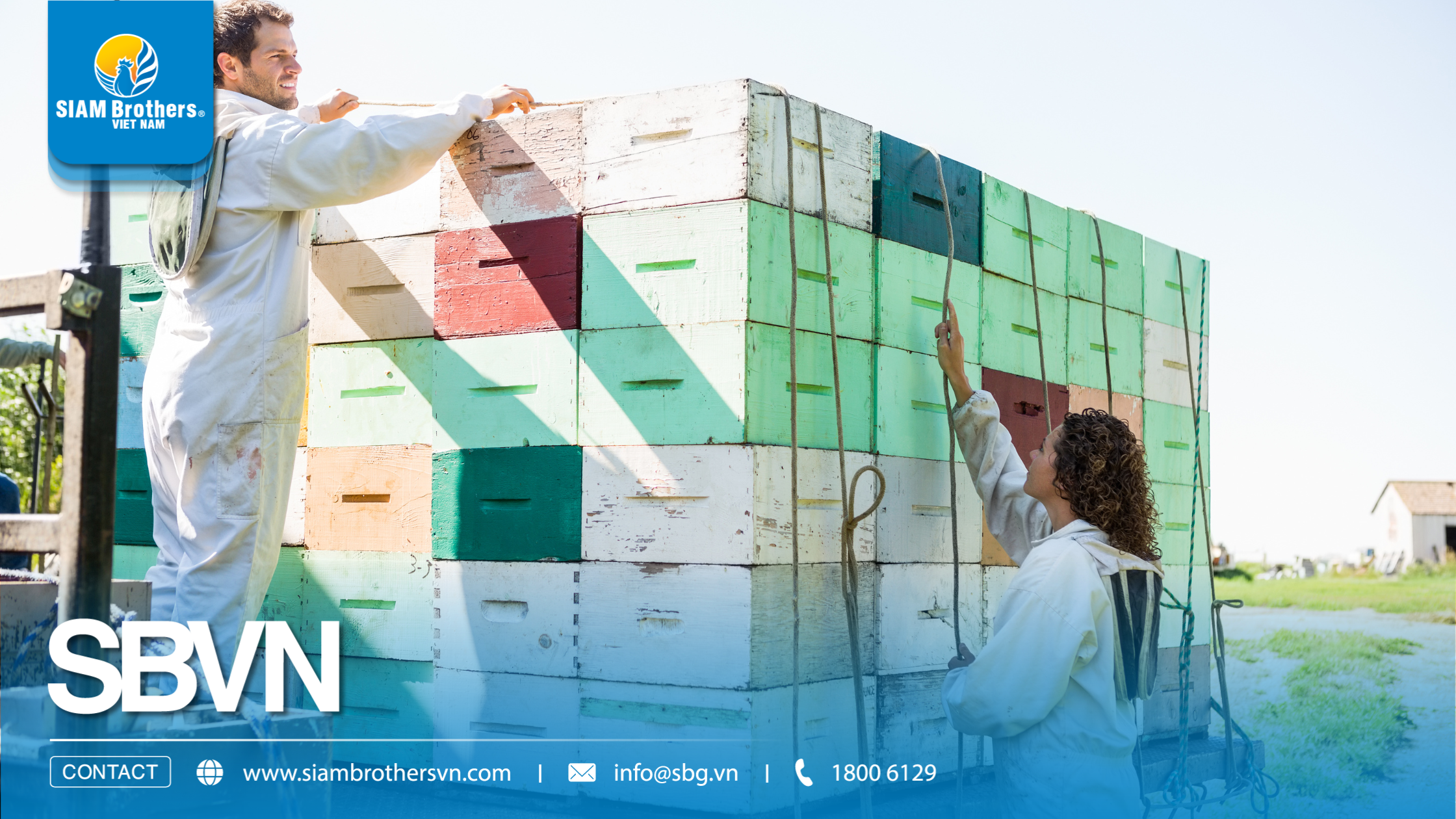 Top 3 loại dây buộc hàng hóa phổ biến nhất hiện nay và cách lựa chọn đúng nhu cầu