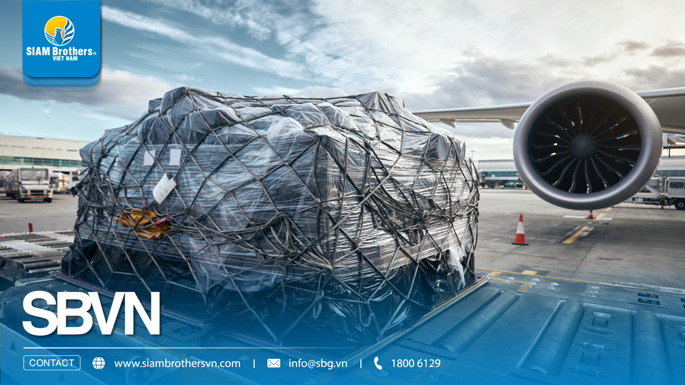Top 3 loại dây buộc hàng hóa phổ biến nhất hiện nay và cách lựa chọn đúng nhu cầu
