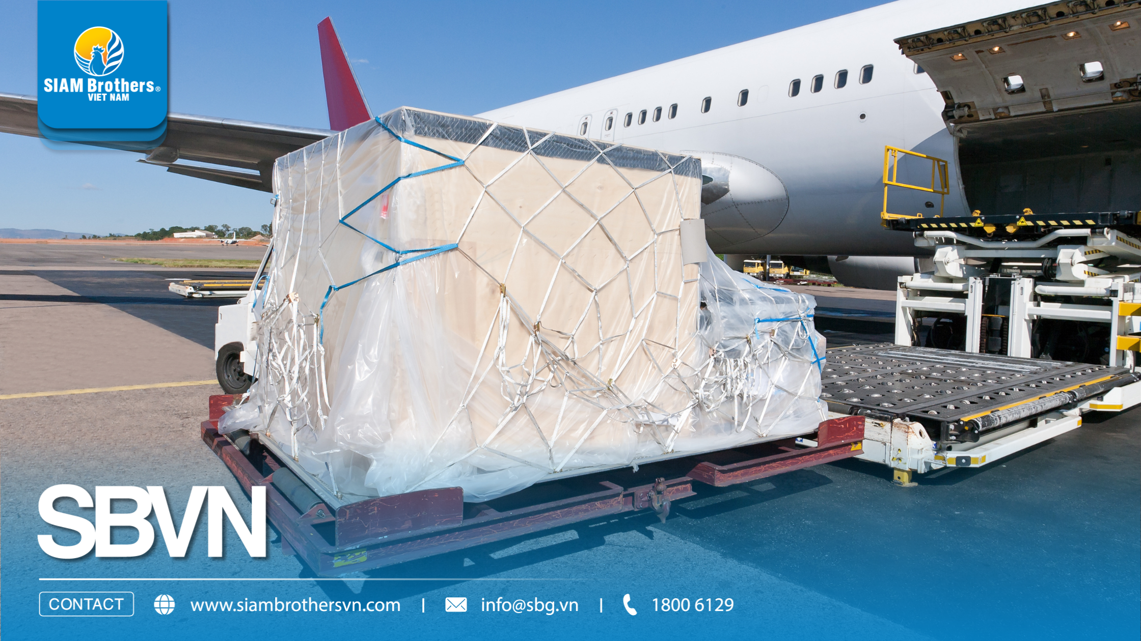 Top 3 loại dây buộc hàng hóa phổ biến nhất hiện nay và cách lựa chọn đúng nhu cầu