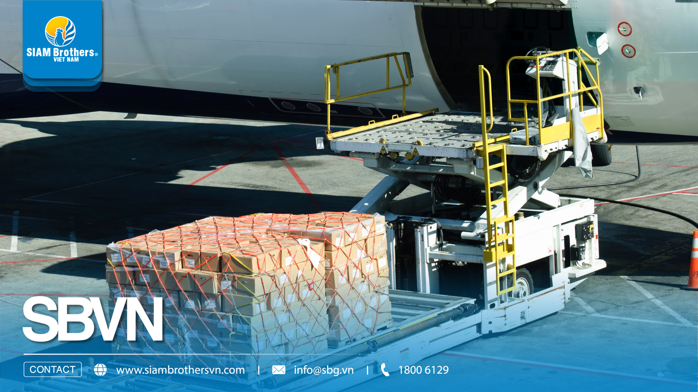 5 tiêu chí chọn dây chằng buộc hàng chịu lực tốt cho xe tải và container