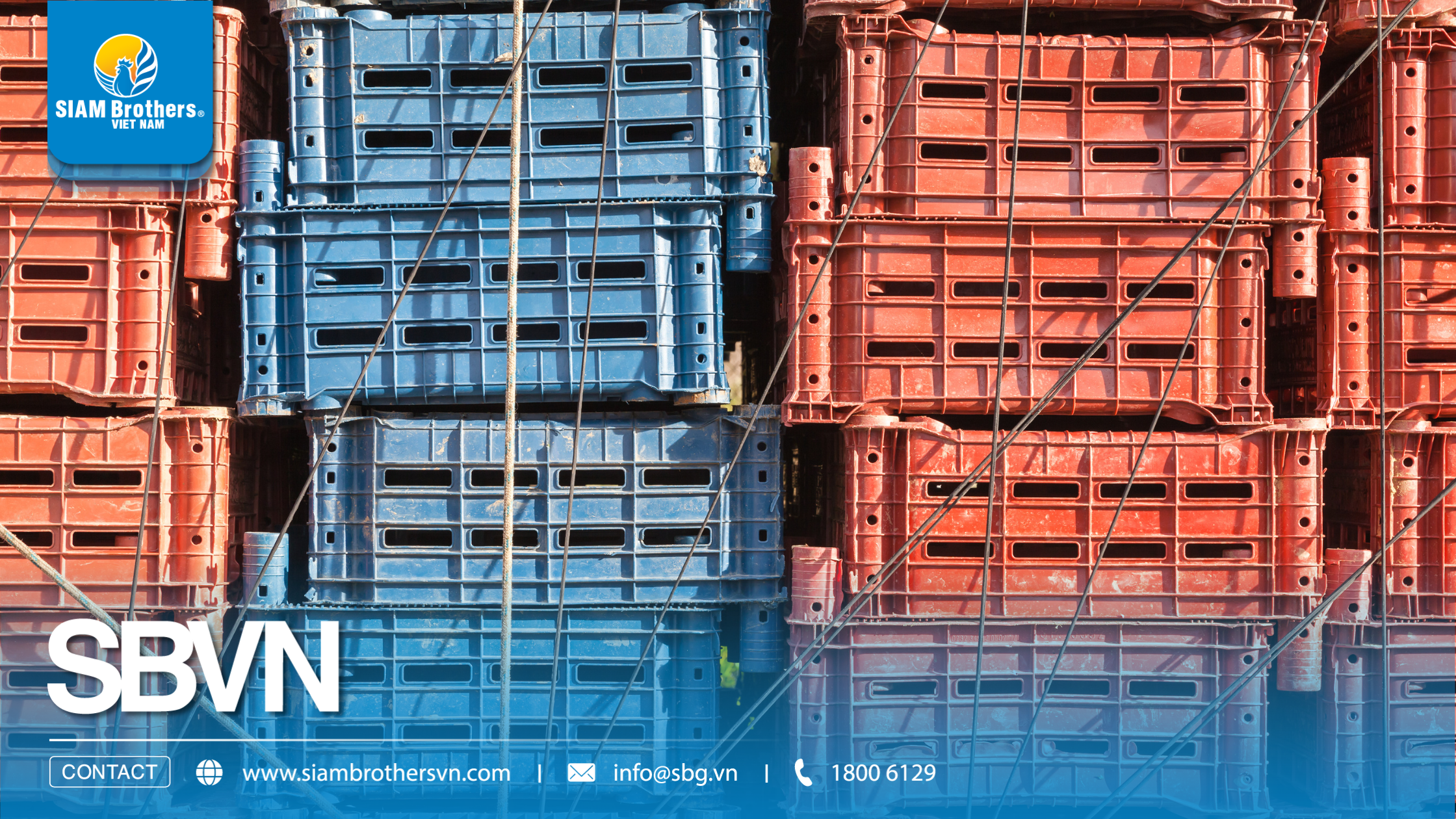 5 tiêu chí chọn dây chằng buộc hàng chịu lực tốt cho xe tải và container