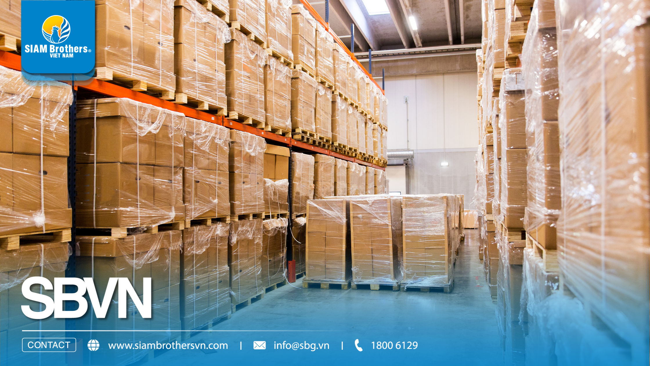 5 tiêu chí chọn dây chằng buộc hàng chịu lực tốt cho xe tải và container