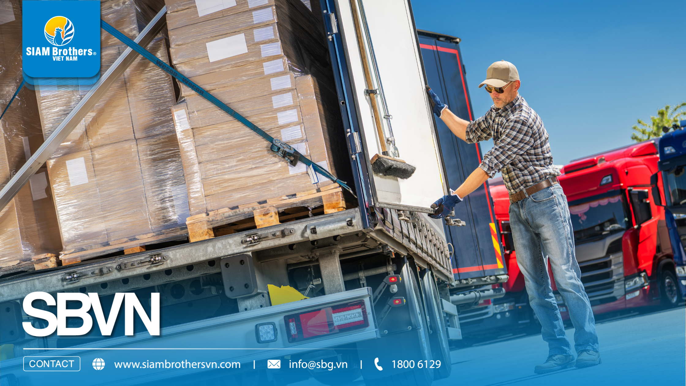 5 tiêu chí chọn dây chằng buộc hàng chịu lực tốt cho xe tải và container