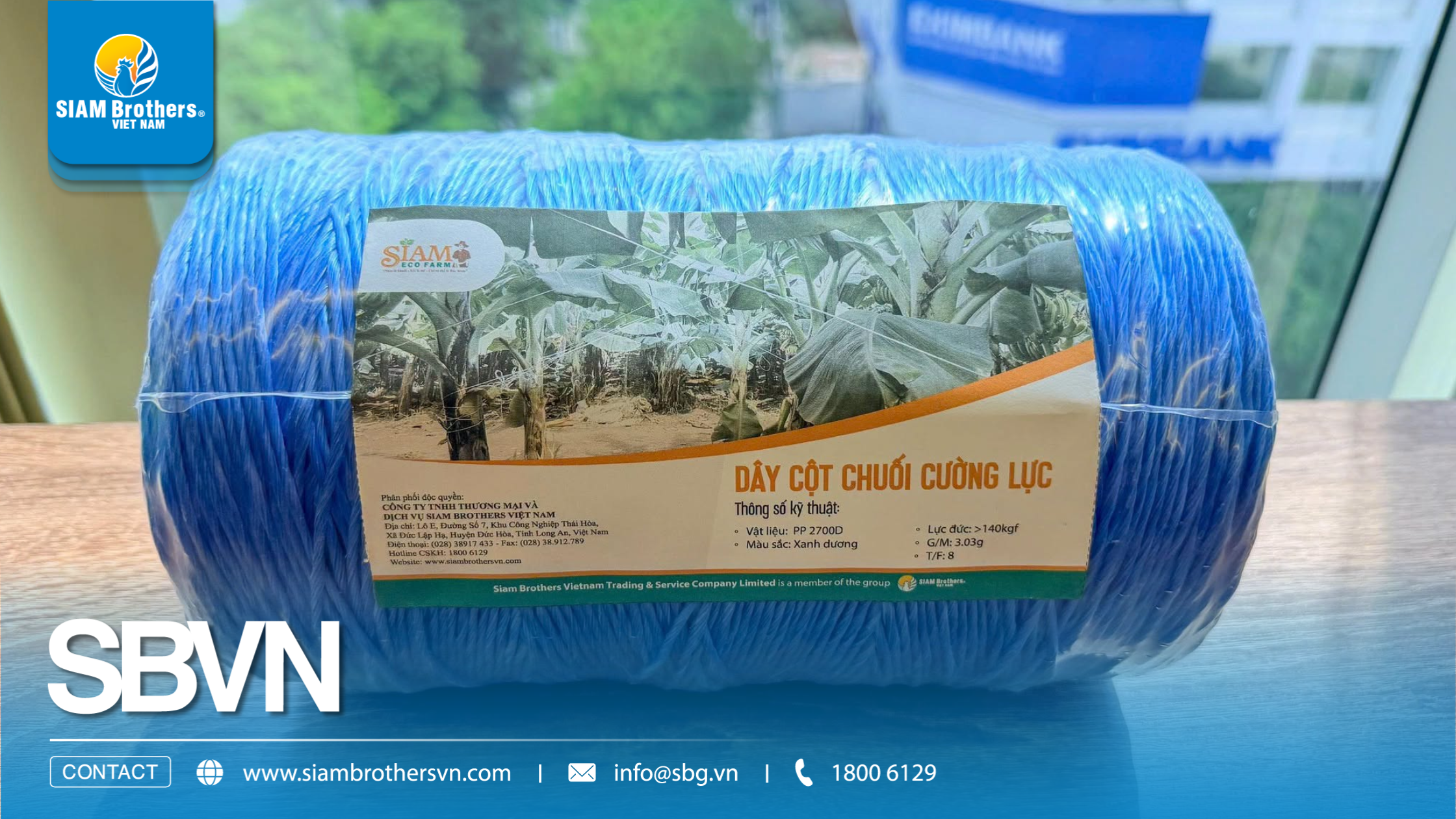 Dây chống đổ ngã chuối cường lực dùng được bao nhiêu cây? Cách tính số lượng cần mua