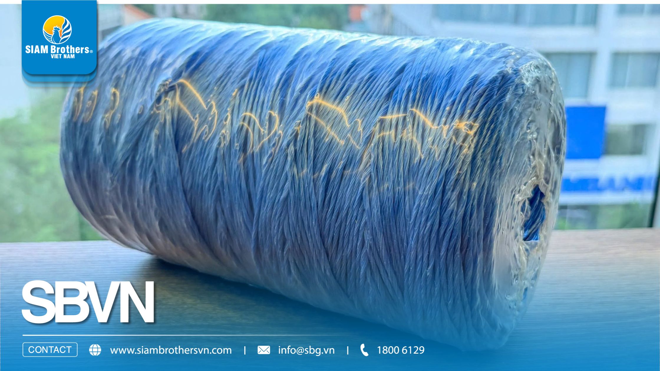 Dây chống đổ ngã chuối cường lực dùng được bao nhiêu cây? Cách tính số lượng cần mua