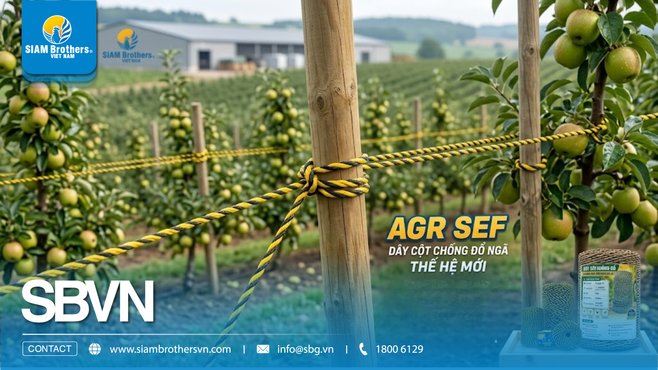 AGR SEF là gì? Giải pháp dây cột chống đổ ngã PP thế hệ mới cho nhà vườn