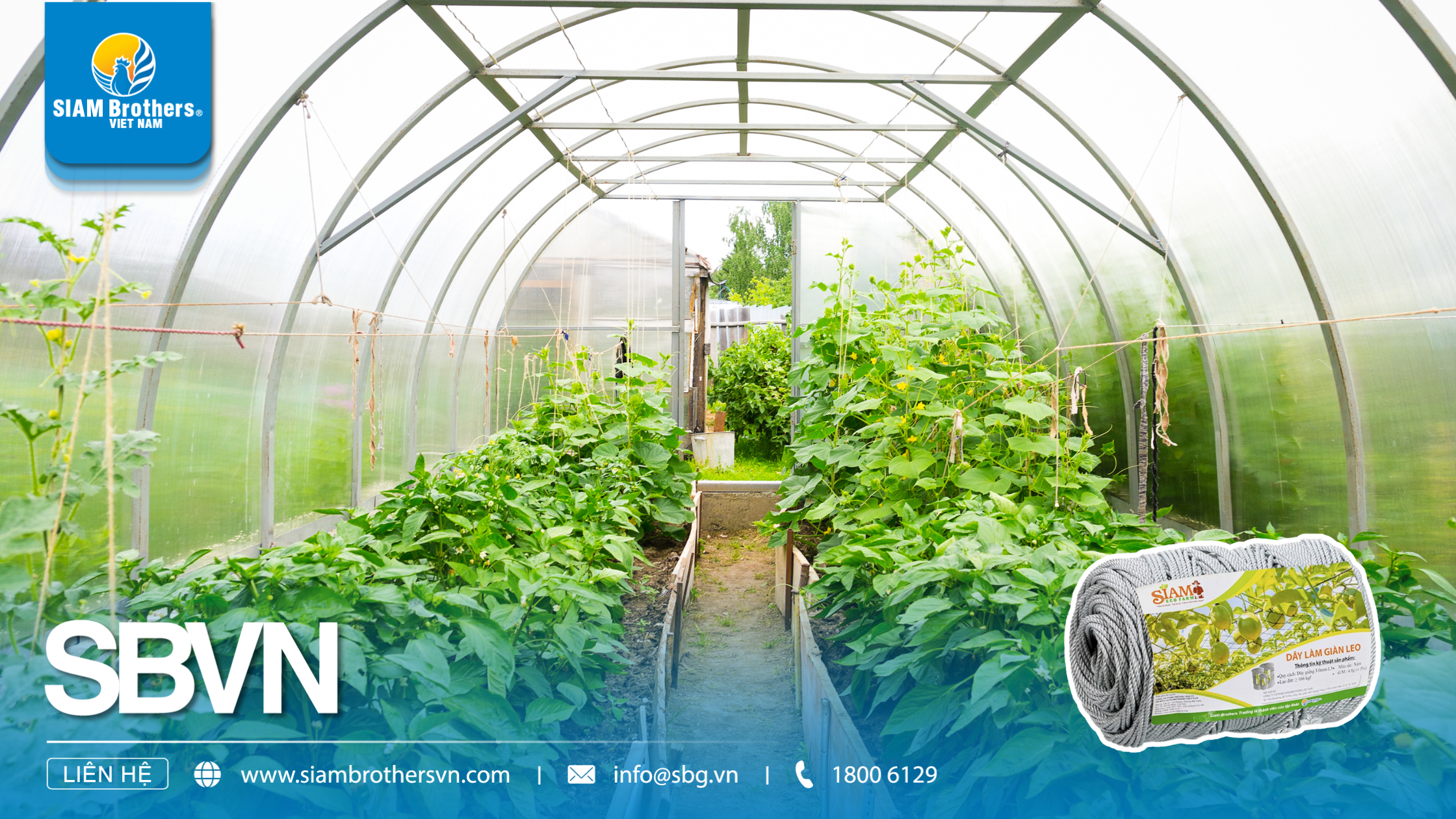 So sánh các loại dây giàn leo: PP, PE, dây nilon – Loại nào tốt nhất ?