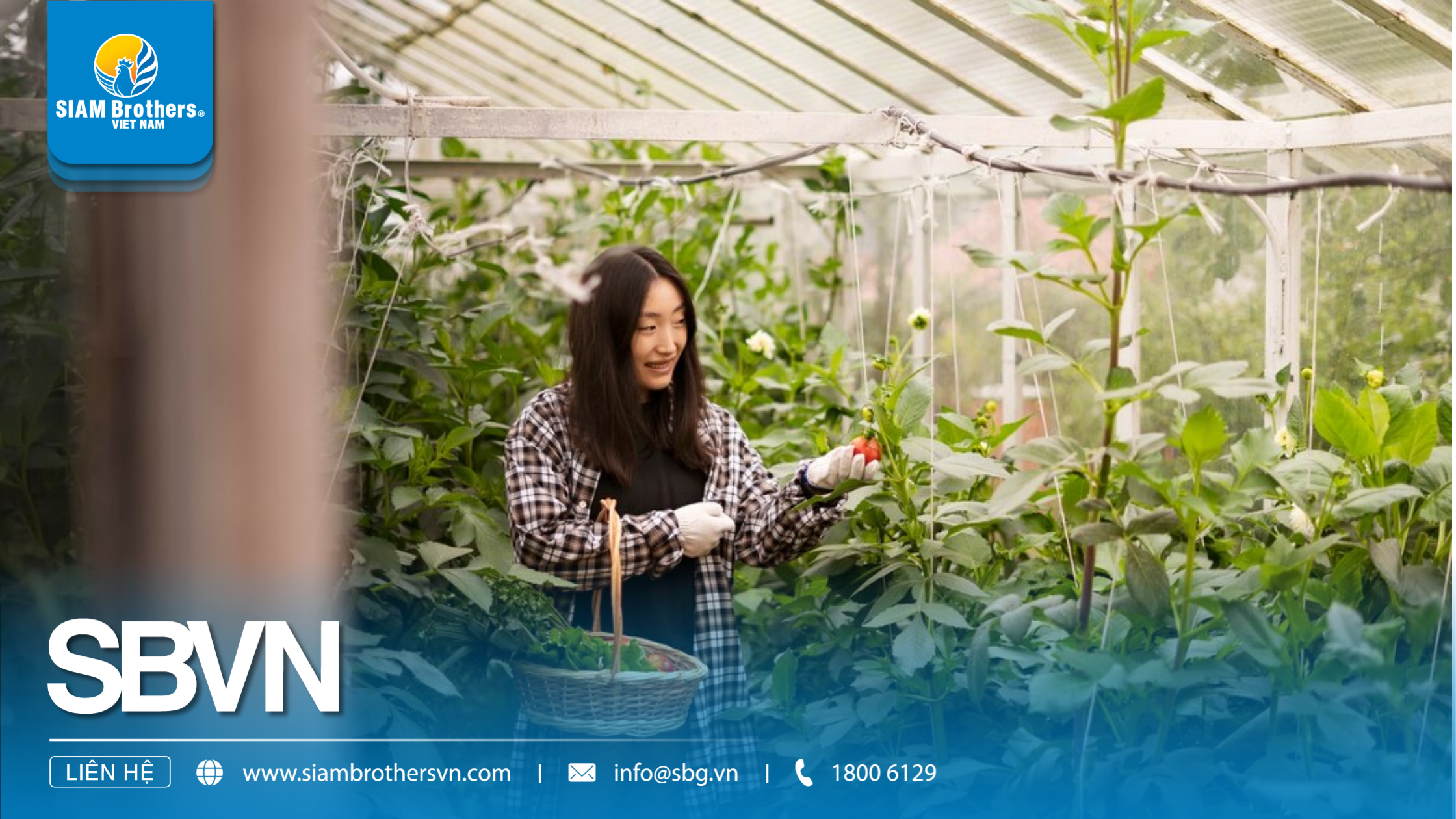 Sản xuất dây nông nghiệp tại nhà máy diễn ra như thế nào? Quy trình từ hạt nhựa đến thành phẩm