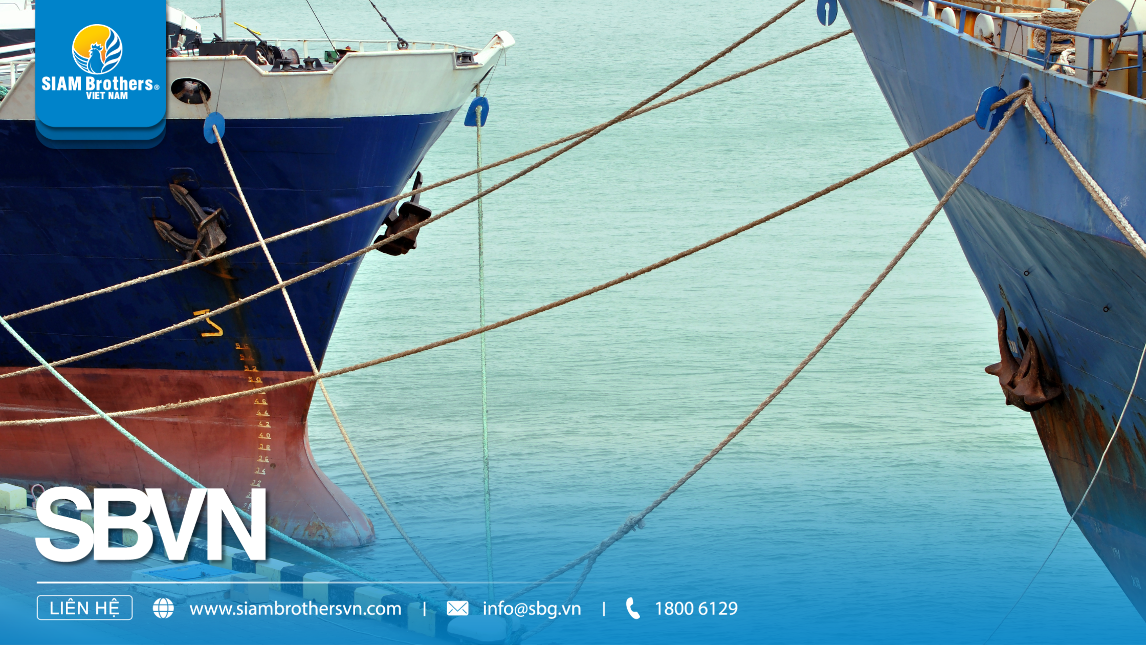 Dây neo chống bão: Hướng dẫn chi tiết cách chọn, lắp đặt và bảo quản