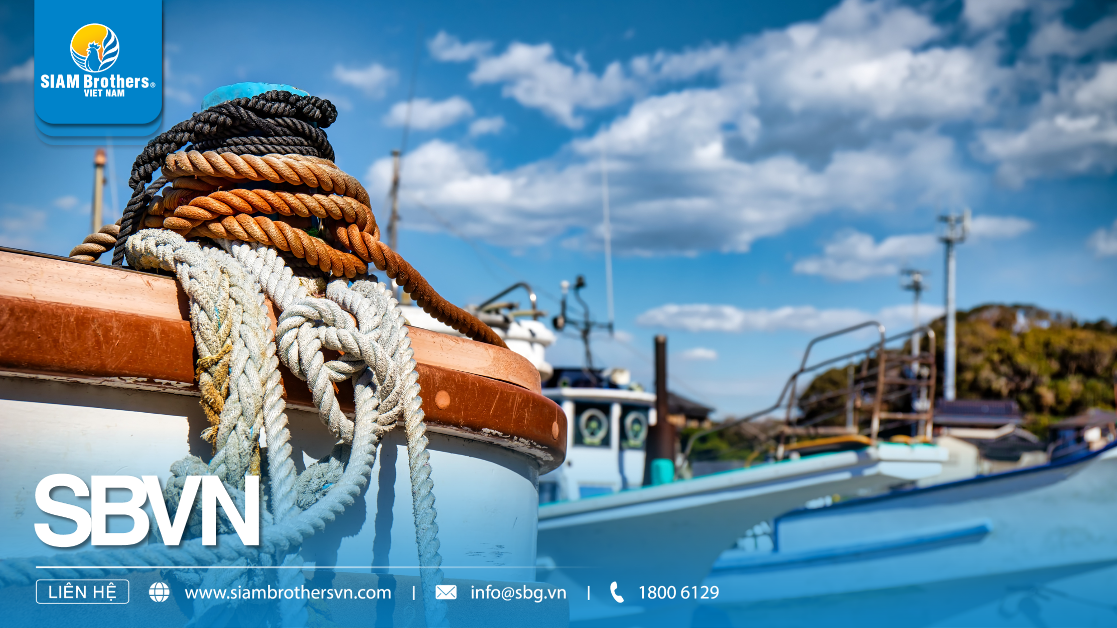 Dây neo chống bão: Hướng dẫn chi tiết cách chọn, lắp đặt và bảo quản