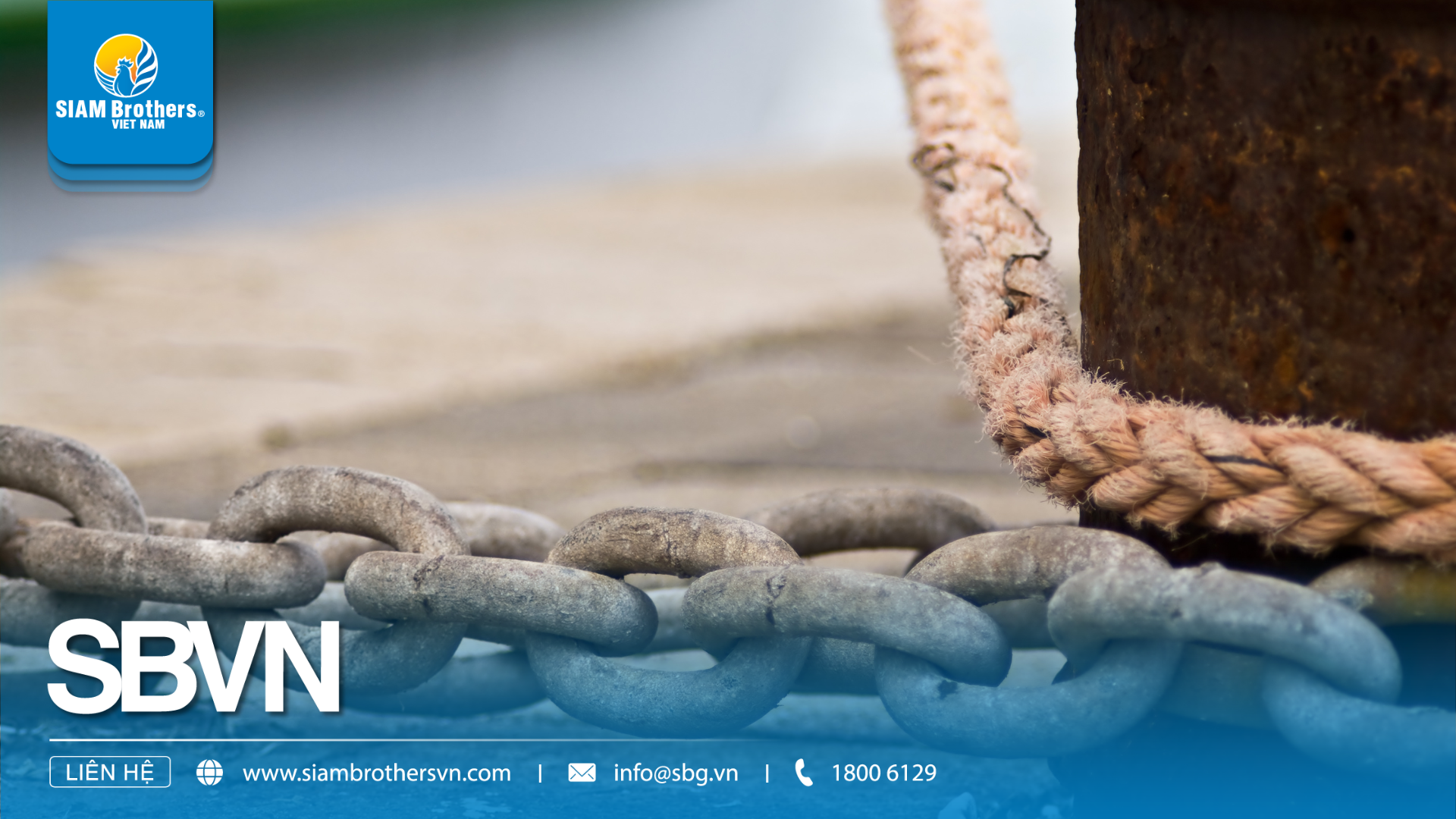 Dây neo tàu thuyền: Hướng dẫn chọn đúng (PP, Nylon, Xích) cho mọi loại tàu