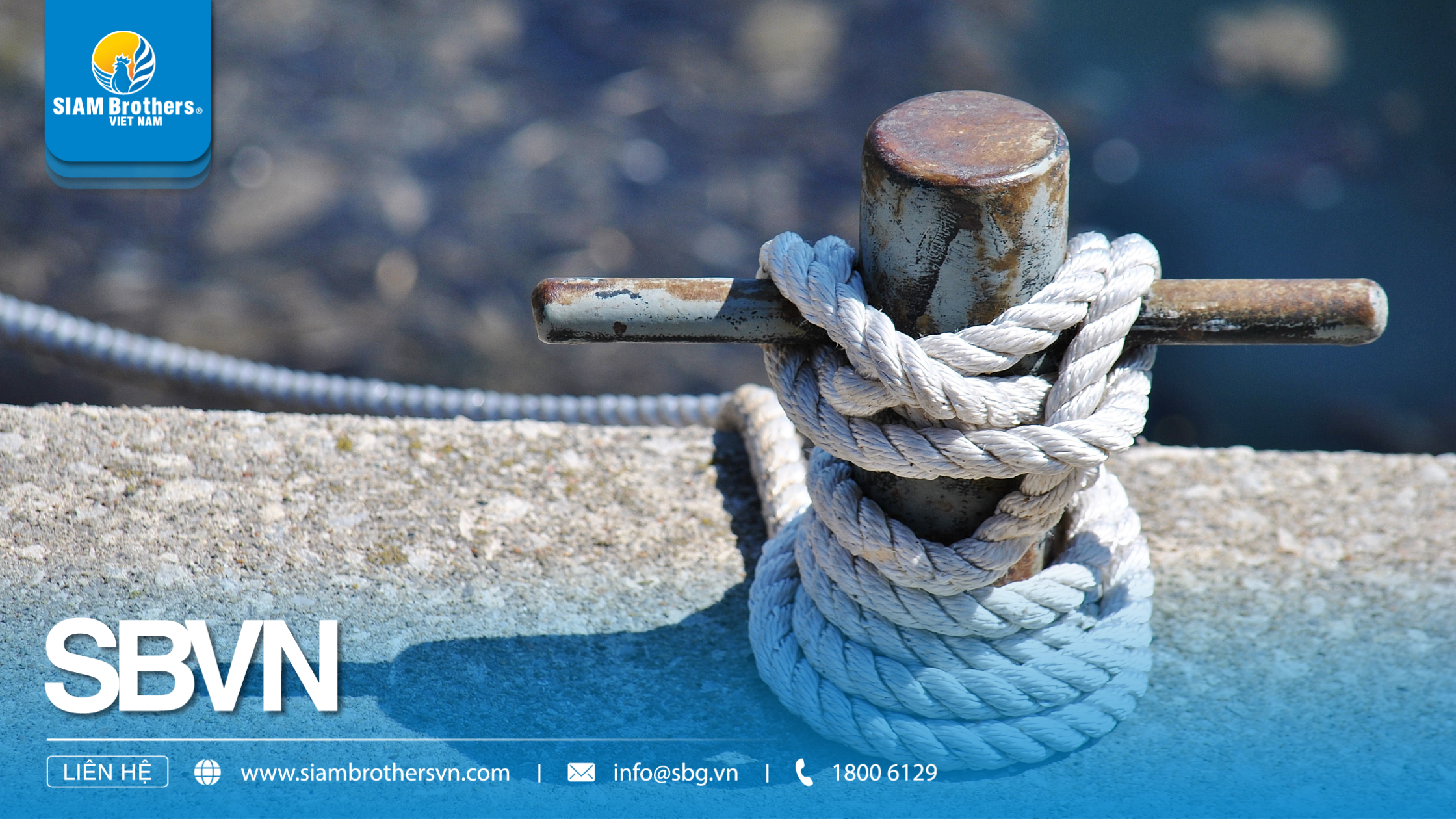 Dây neo tiếng Anh là gì? Hướng dẫn sử dụng và các thuật ngữ liên quan