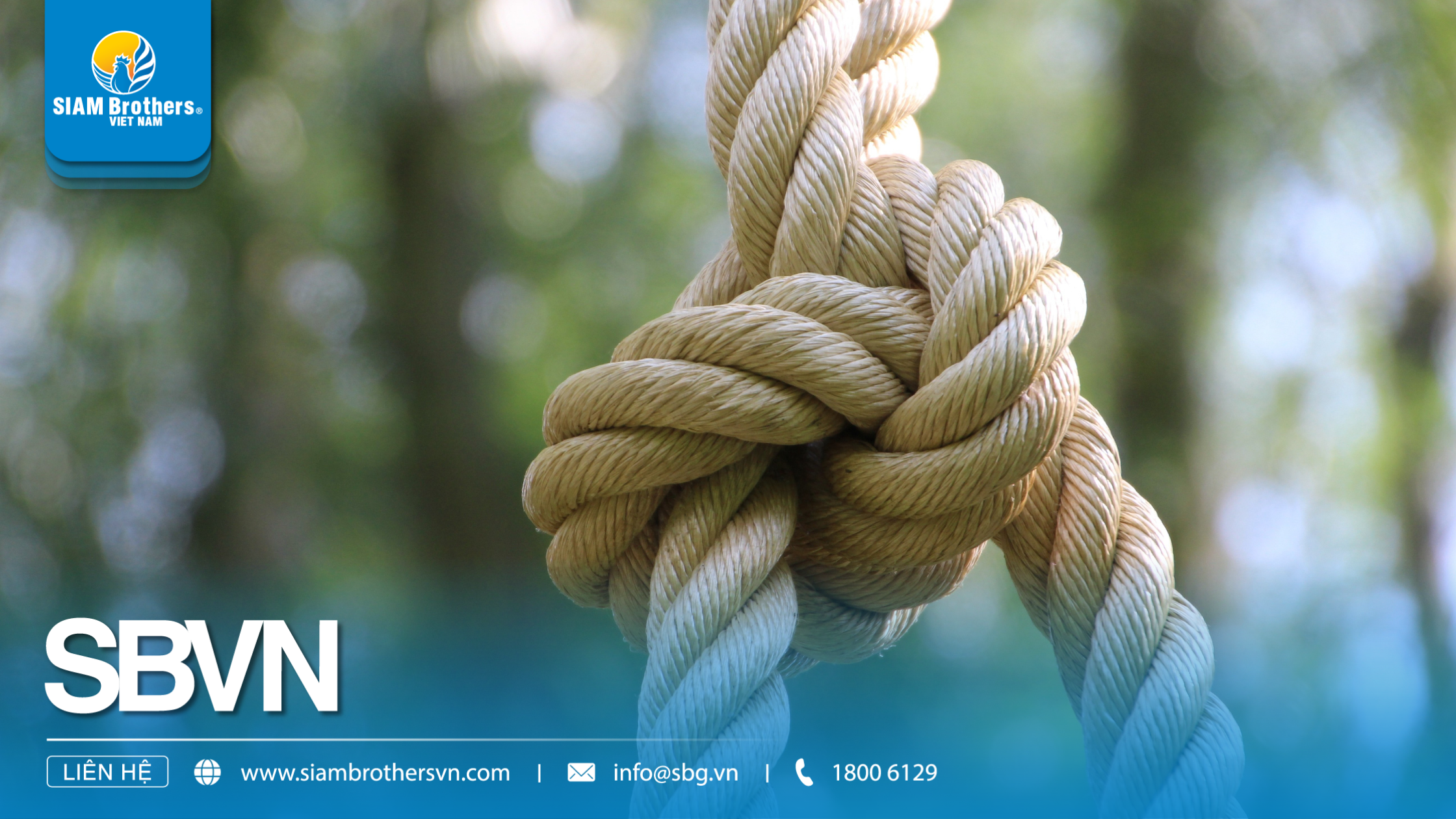 Dây nguyên sinh vs dây tái sinh: Đâu là lựa chọn tối ưu cho nông ngư nghiệp?