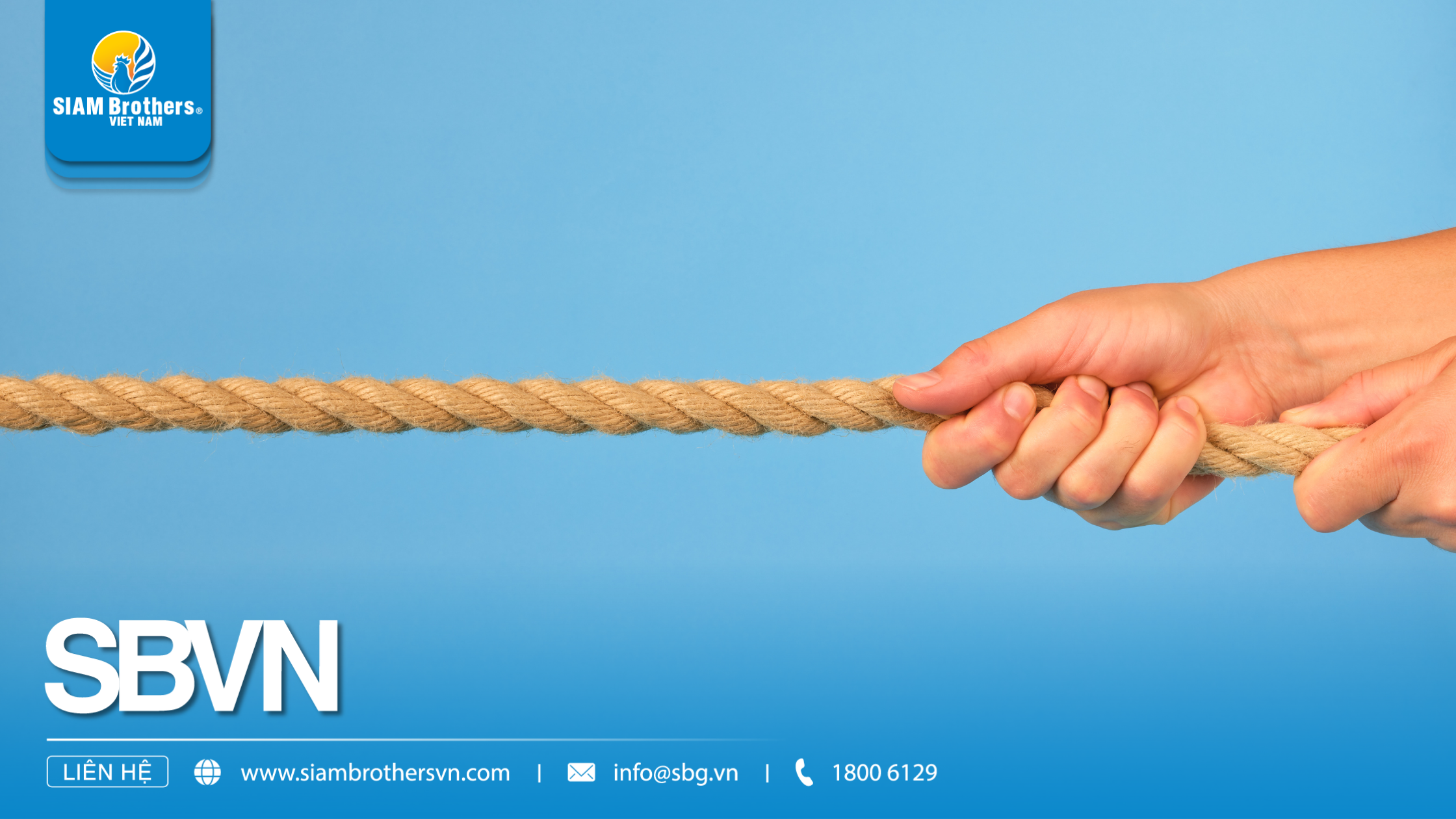 Dây nguyên sinh vs dây tái sinh: Đâu là lựa chọn tối ưu cho nông ngư nghiệp?