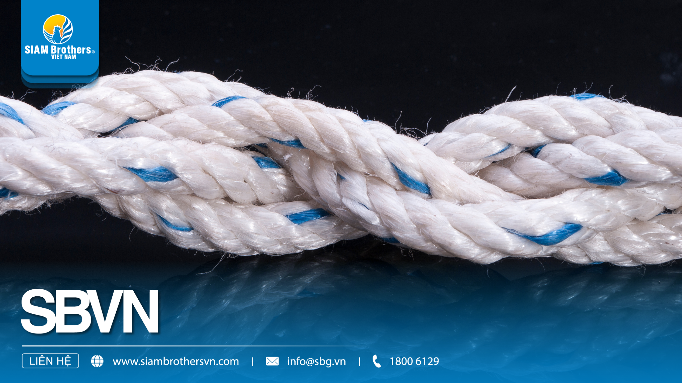 Dây nguyên sinh vs dây tái sinh: Đâu là lựa chọn tối ưu cho nông ngư nghiệp?