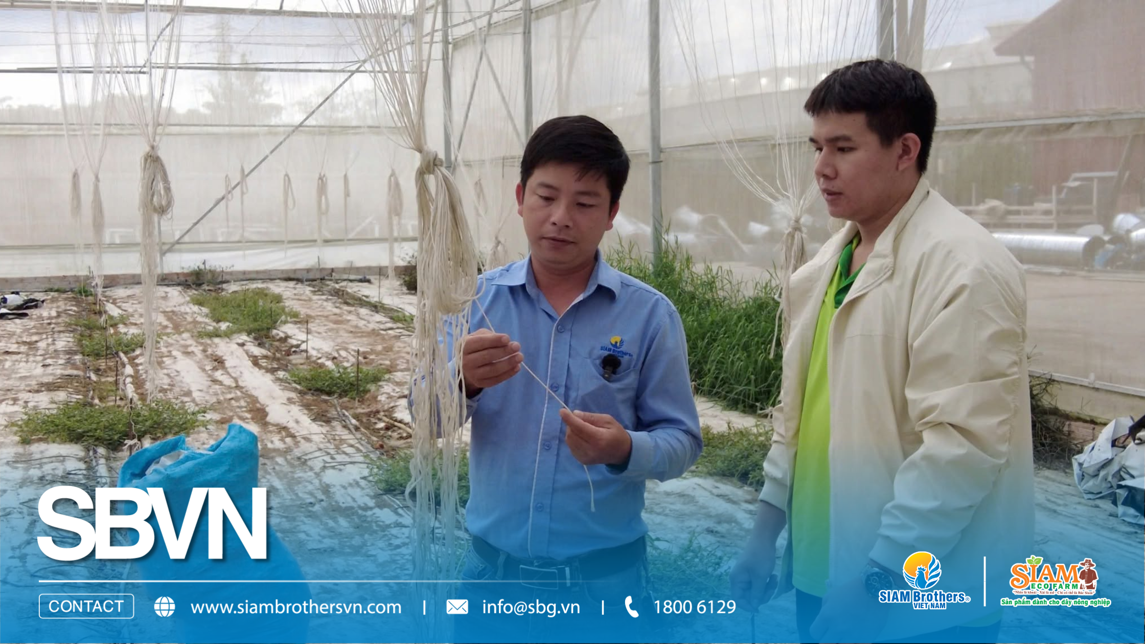 SIAM Brothers Việt Nam tổ chức chương trình tập huấn dây nông nghiệp công nghệ cao tại Lâm Đồng