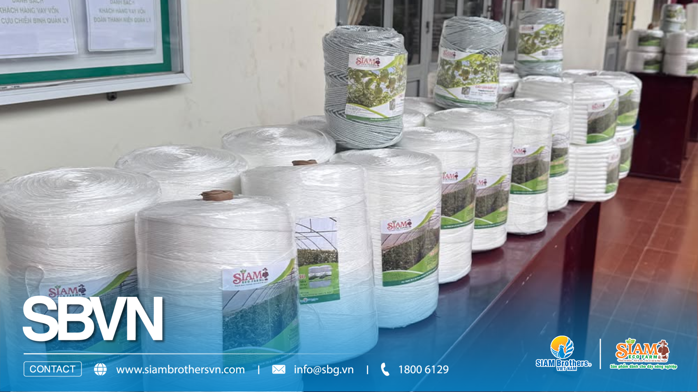 SIAM Brothers Việt Nam tổ chức chương trình tập huấn dây nông nghiệp công nghệ cao tại Lâm Đồng