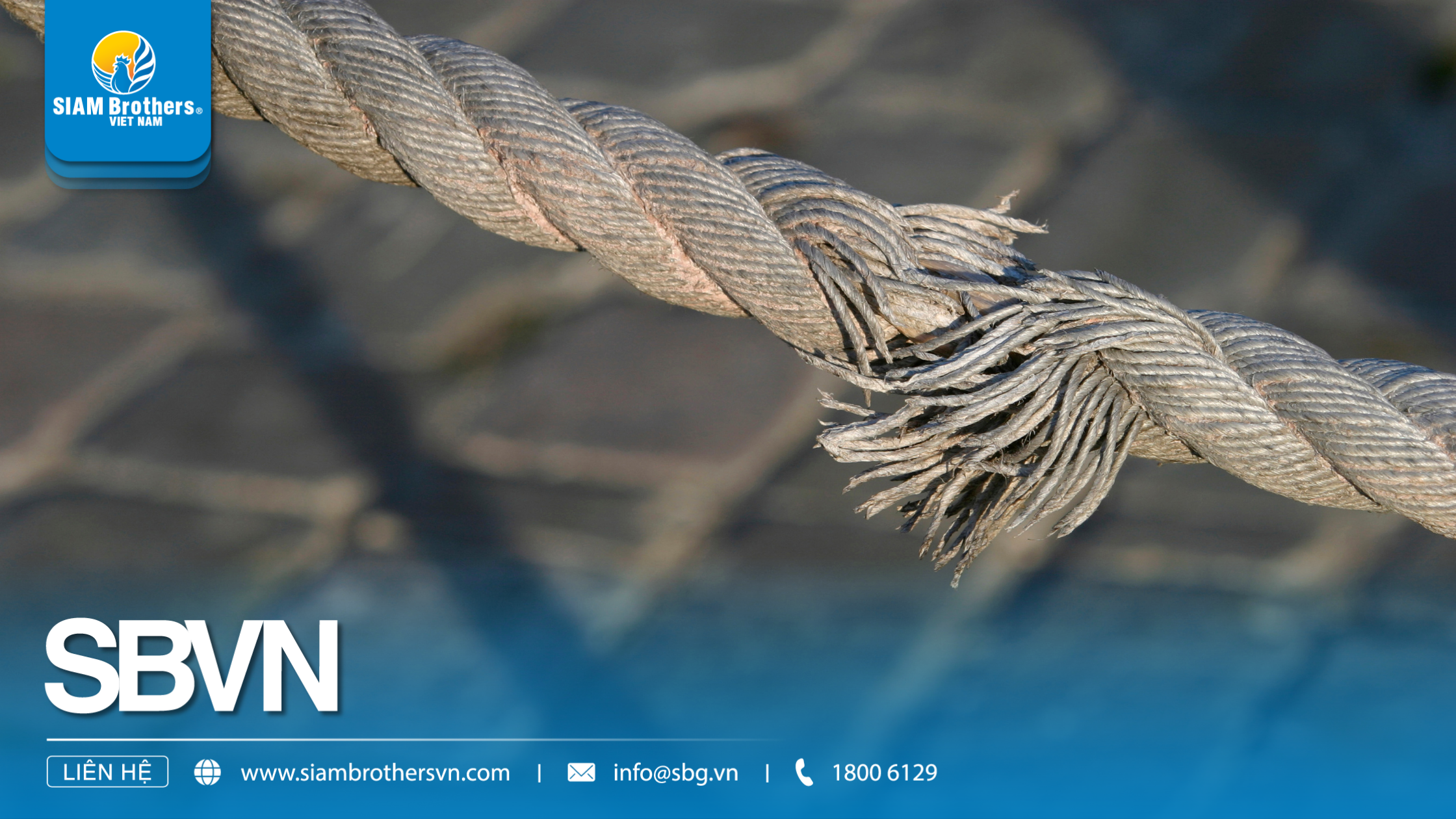 Cách Khắc Phục Khi Dây Thừng Bị Đứt Trong Quá Trình Sử Dụng