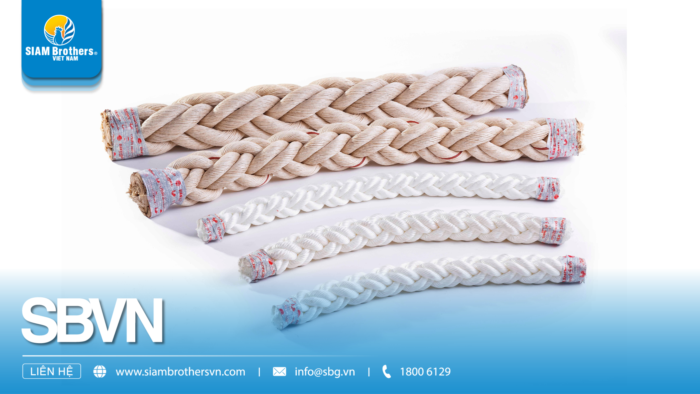 Cách nhận biết dây thừng chất lượng cao? 5 tiêu chí bắt buộc cần biết trước khi mua