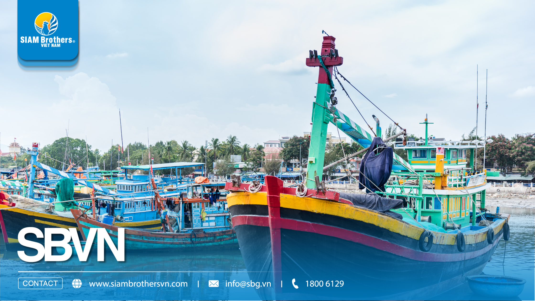 Dây thừng cỡ lớn cho tàu cá xa bờ - Tiêu chí lựa chọn và kinh nghiệm thực tế
