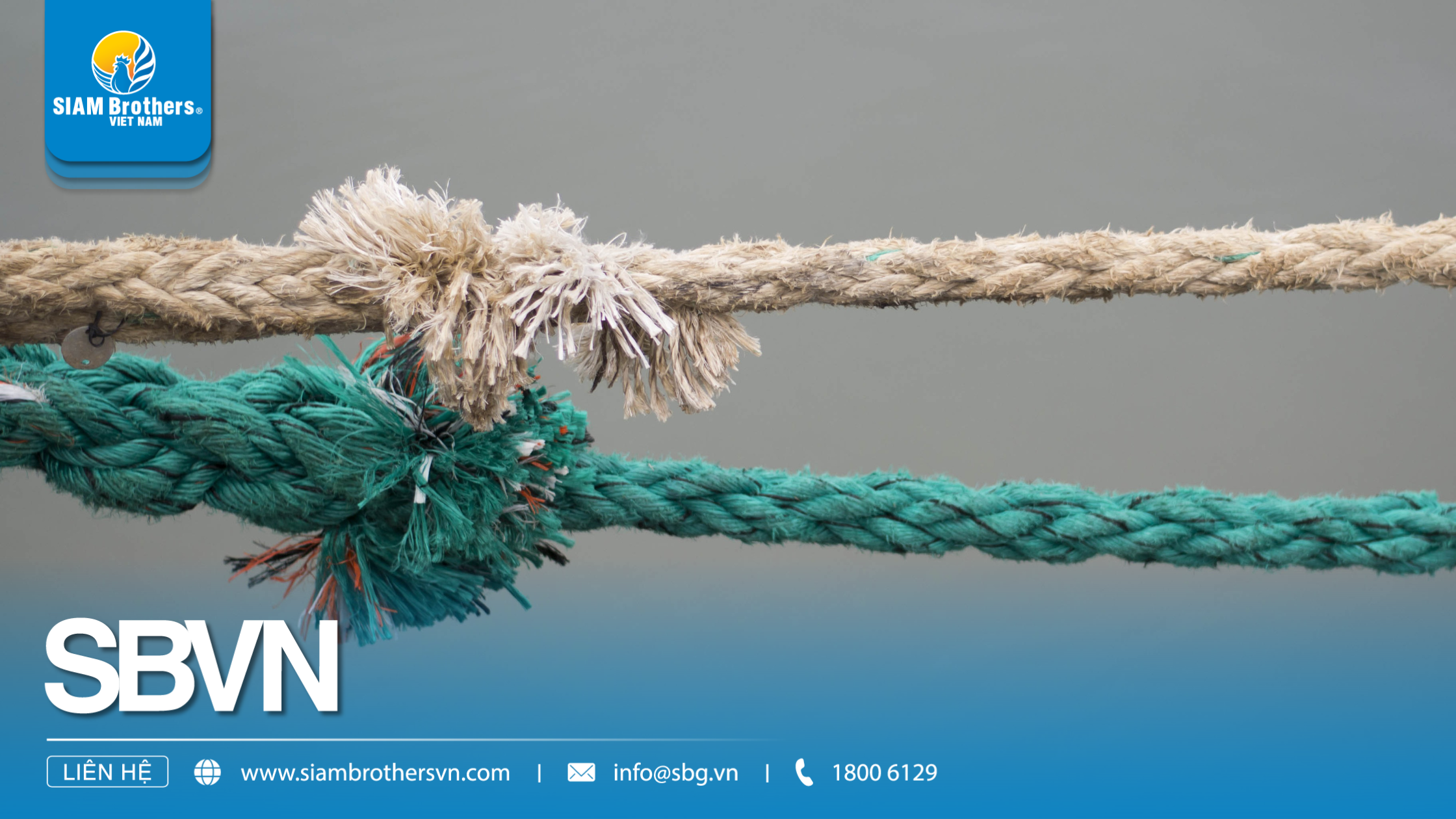Dây thừng giá rẻ có thực sự tốt? 5 điều cần biết trước khi mua
