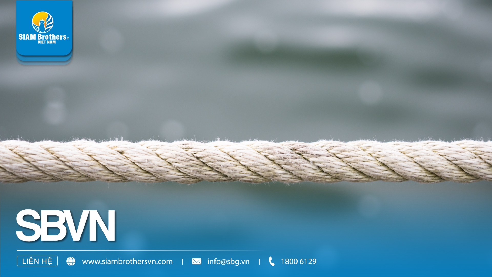 Dây thừng PP giá rẻ có bền không? So sánh chất lượng, tải trọng và giá thực tế