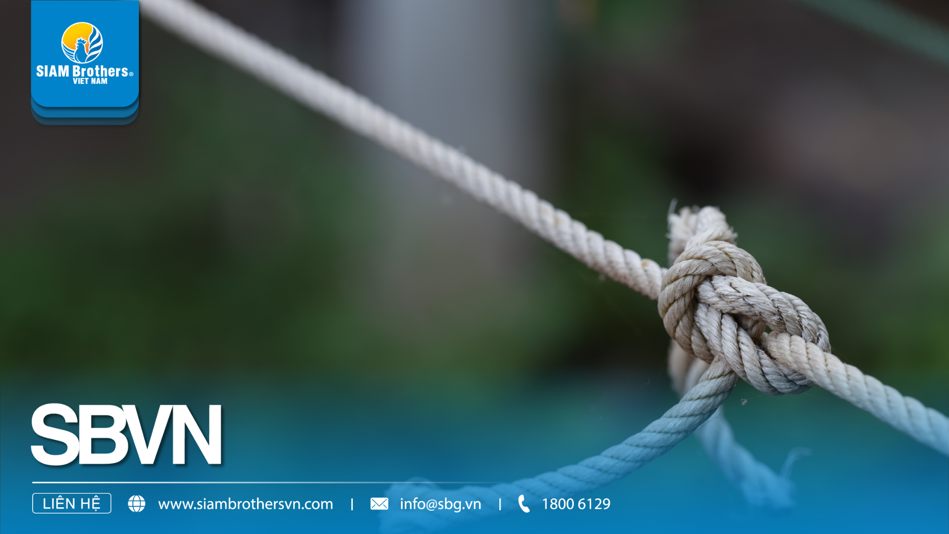 Dây thừng PP giá rẻ có bền không? So sánh chất lượng, tải trọng và giá thực tế