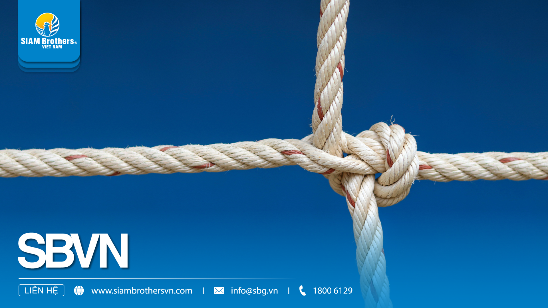 Dây thừng PP giá rẻ có bền không? So sánh chất lượng, tải trọng và giá thực tế