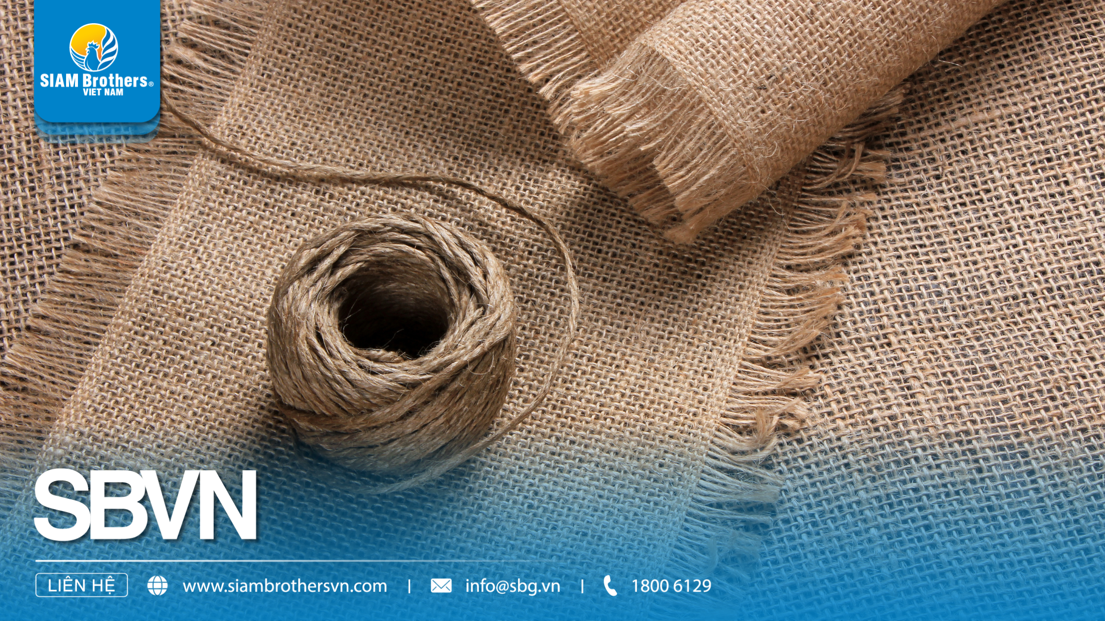 So sánh dây thừng sợi cotton và dây thừng sợi nhân tạo: Nên chọn loại nào?