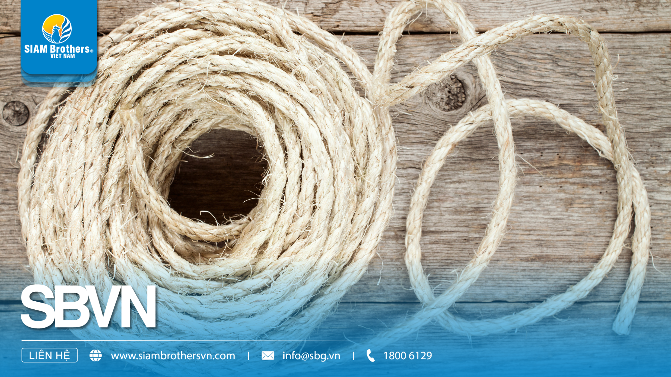 So sánh dây thừng tái chế và dây thừng nguyên sinh: Loại nào tốt hơn?