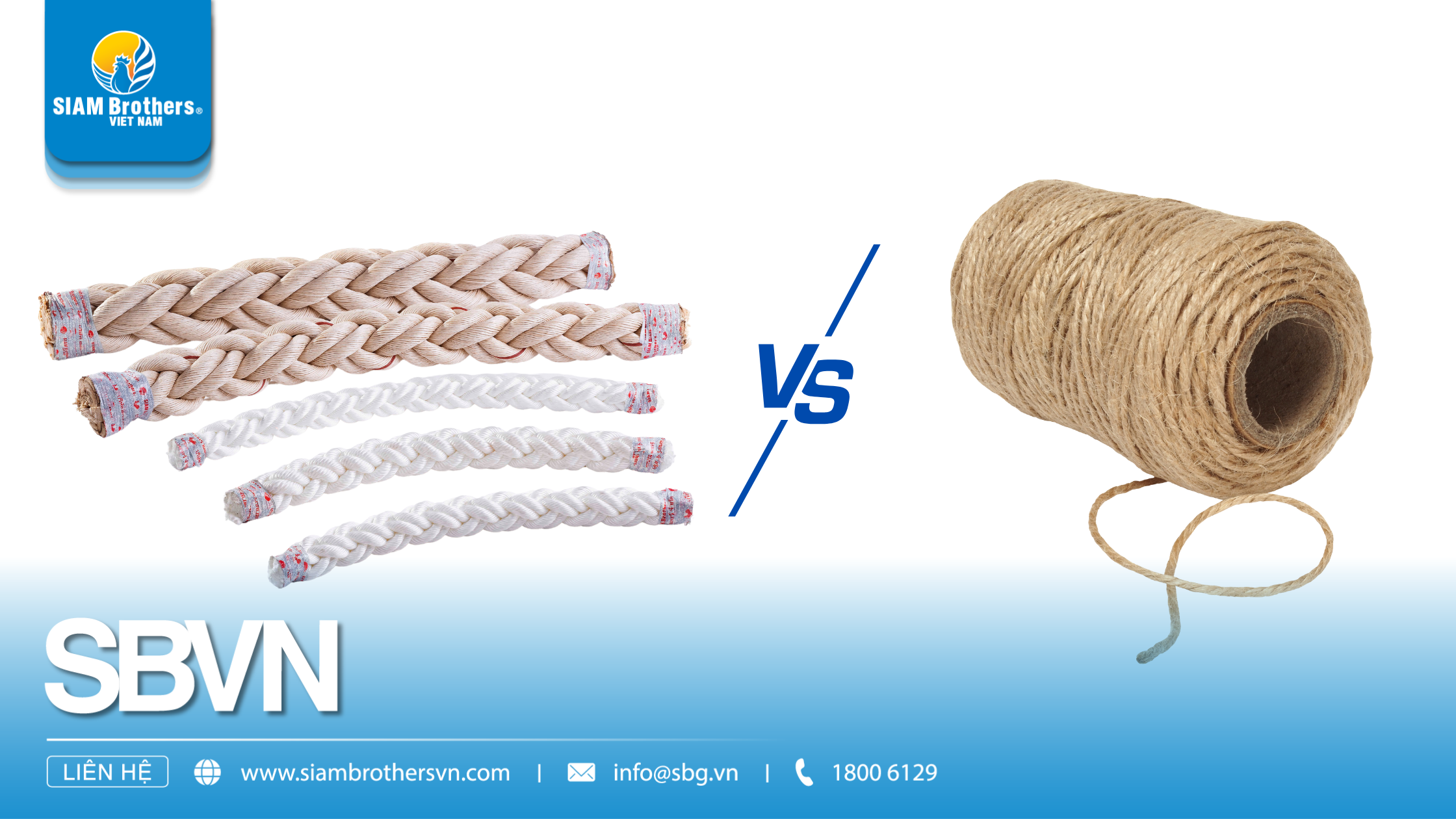 So sánh dây thừng tái chế và dây thừng nguyên sinh: Loại nào tốt hơn?