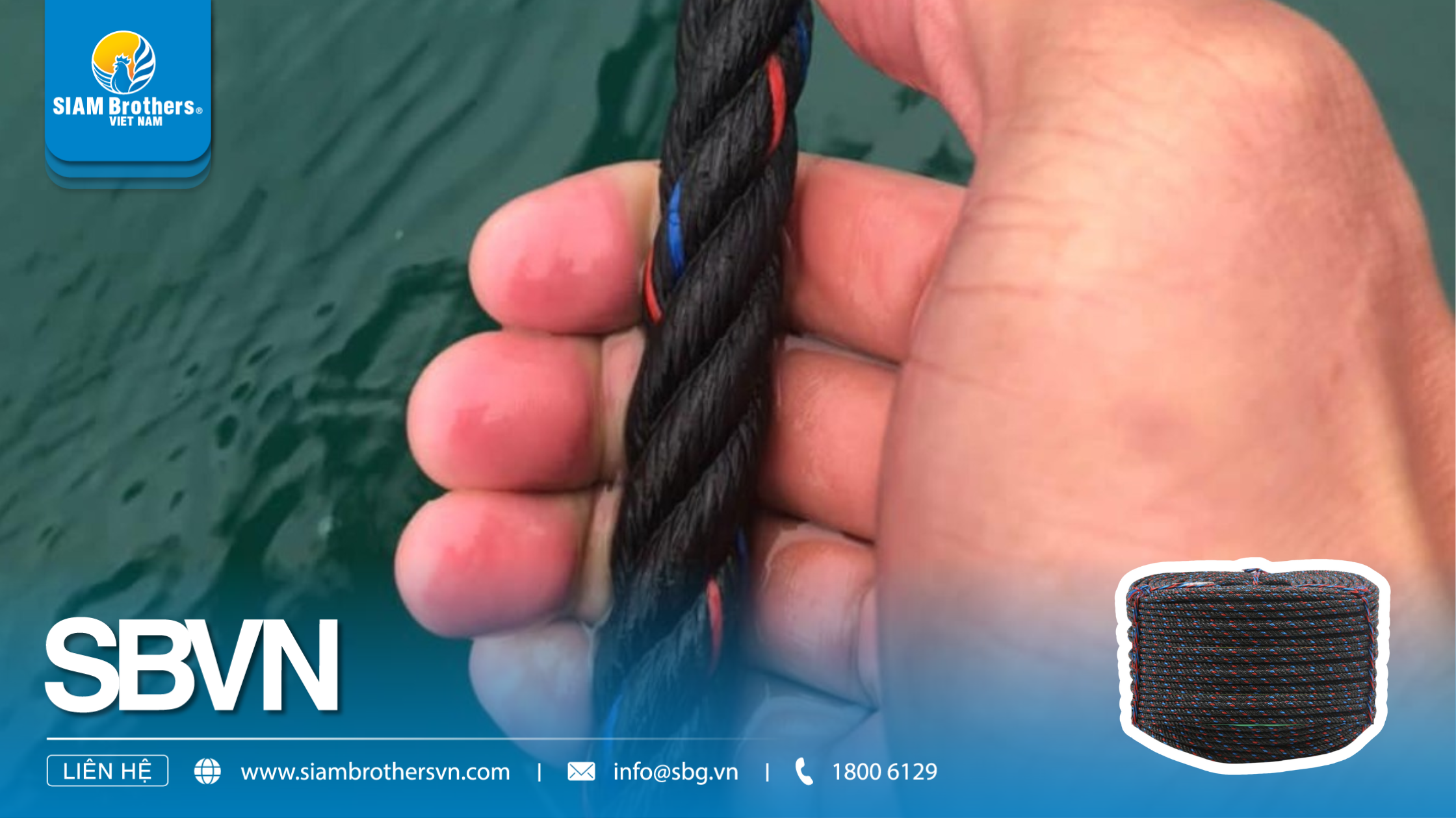 Dây treo hàu là gì? Ứng dụng và lợi ích trong nuôi hàu thương phẩm