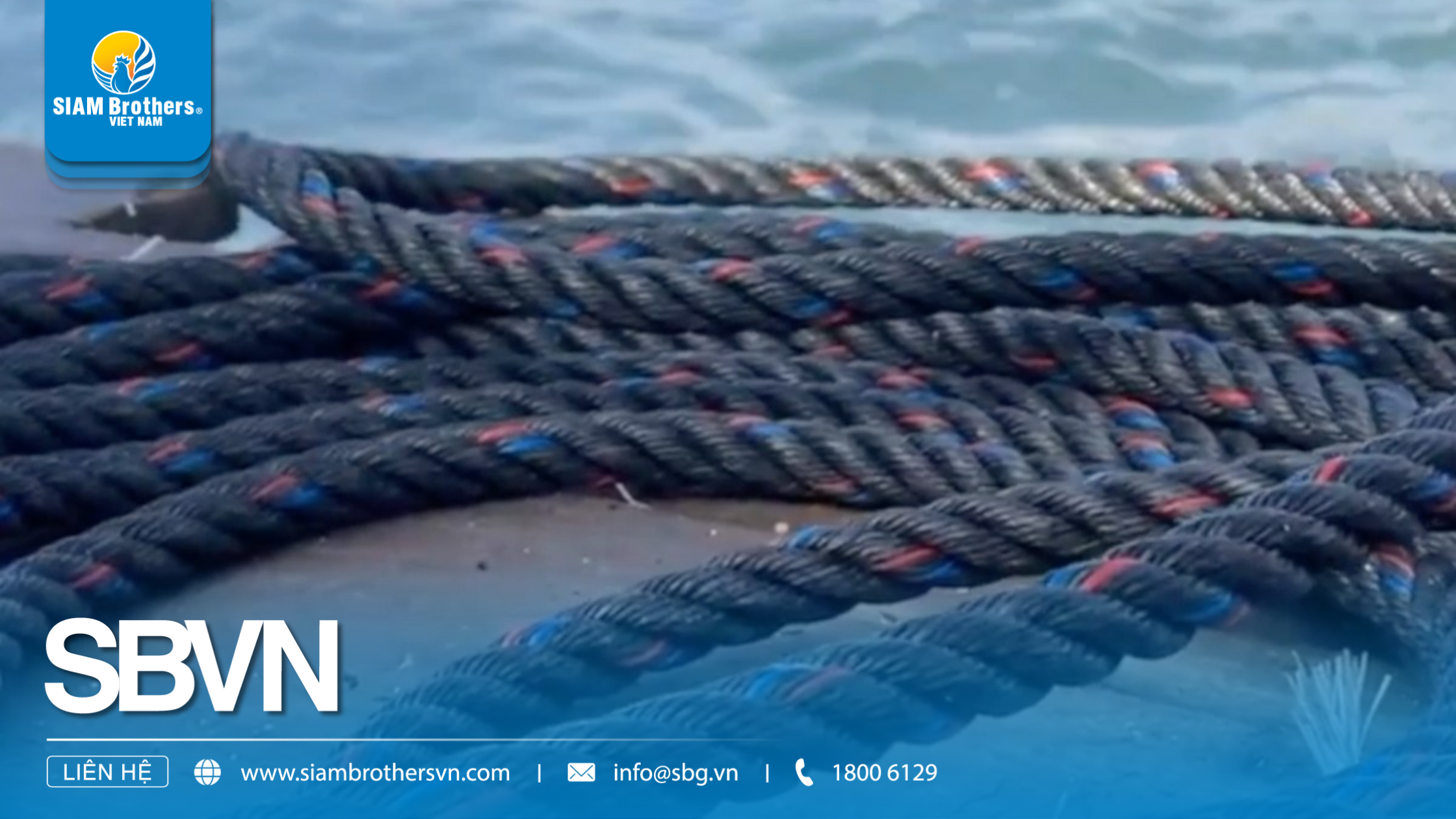 Dây treo hàu là gì? Ứng dụng và lợi ích trong nuôi hàu thương phẩm