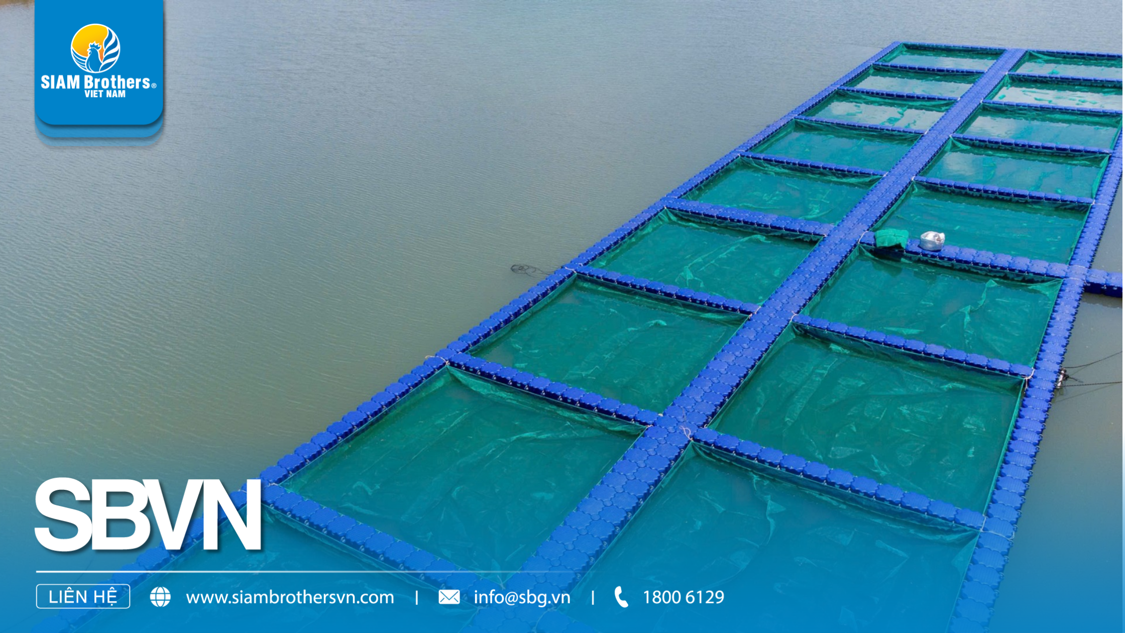 Dự án 20 ô phao lồng bè HDPE tại Campuchia – Giải pháp cách mạng cho bè nuôi cá hiện đại