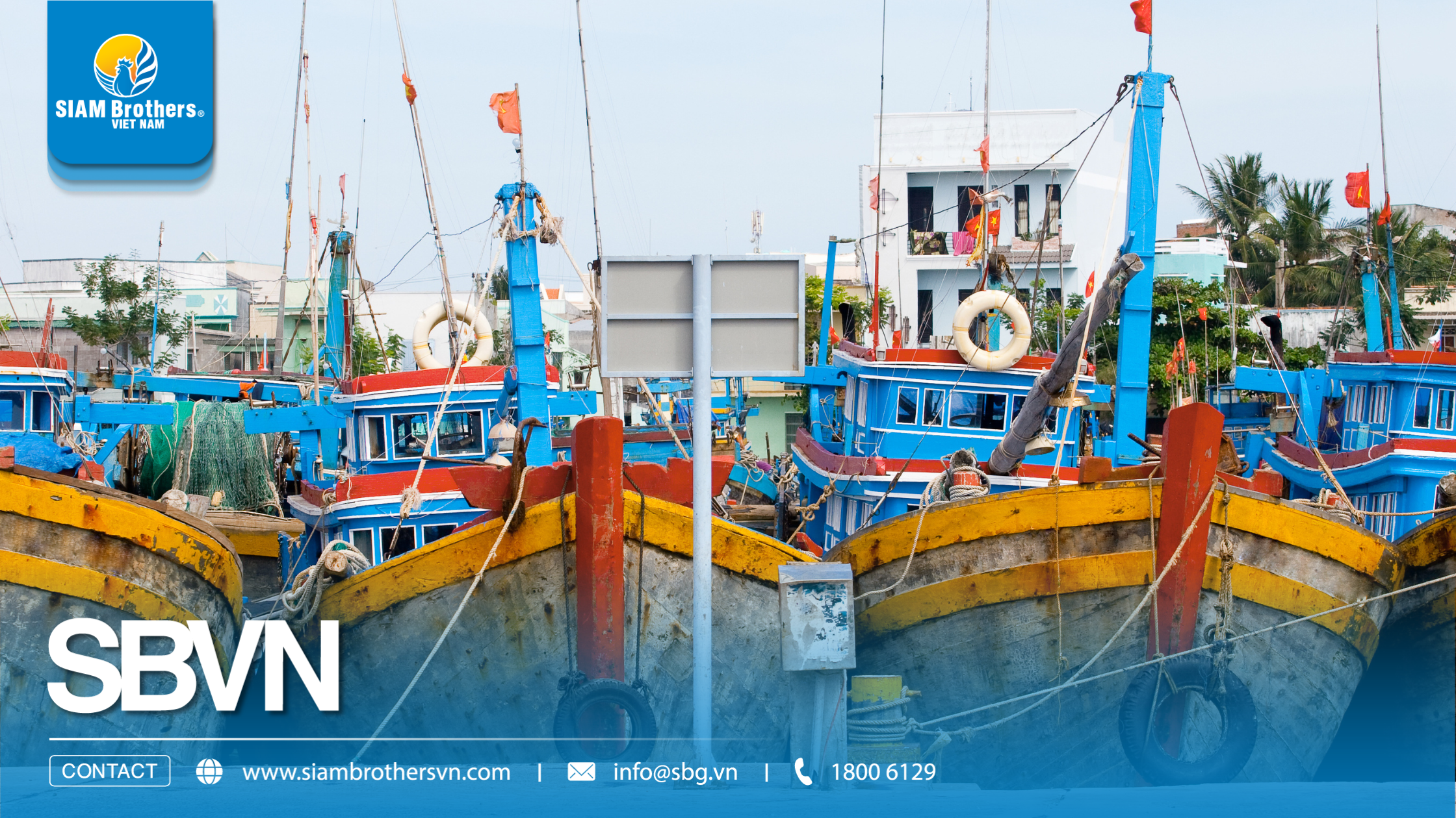 Giá dây neo tàu thuyền bao nhiêu? Cách chọn dây đúng quy cách, không mua thừa