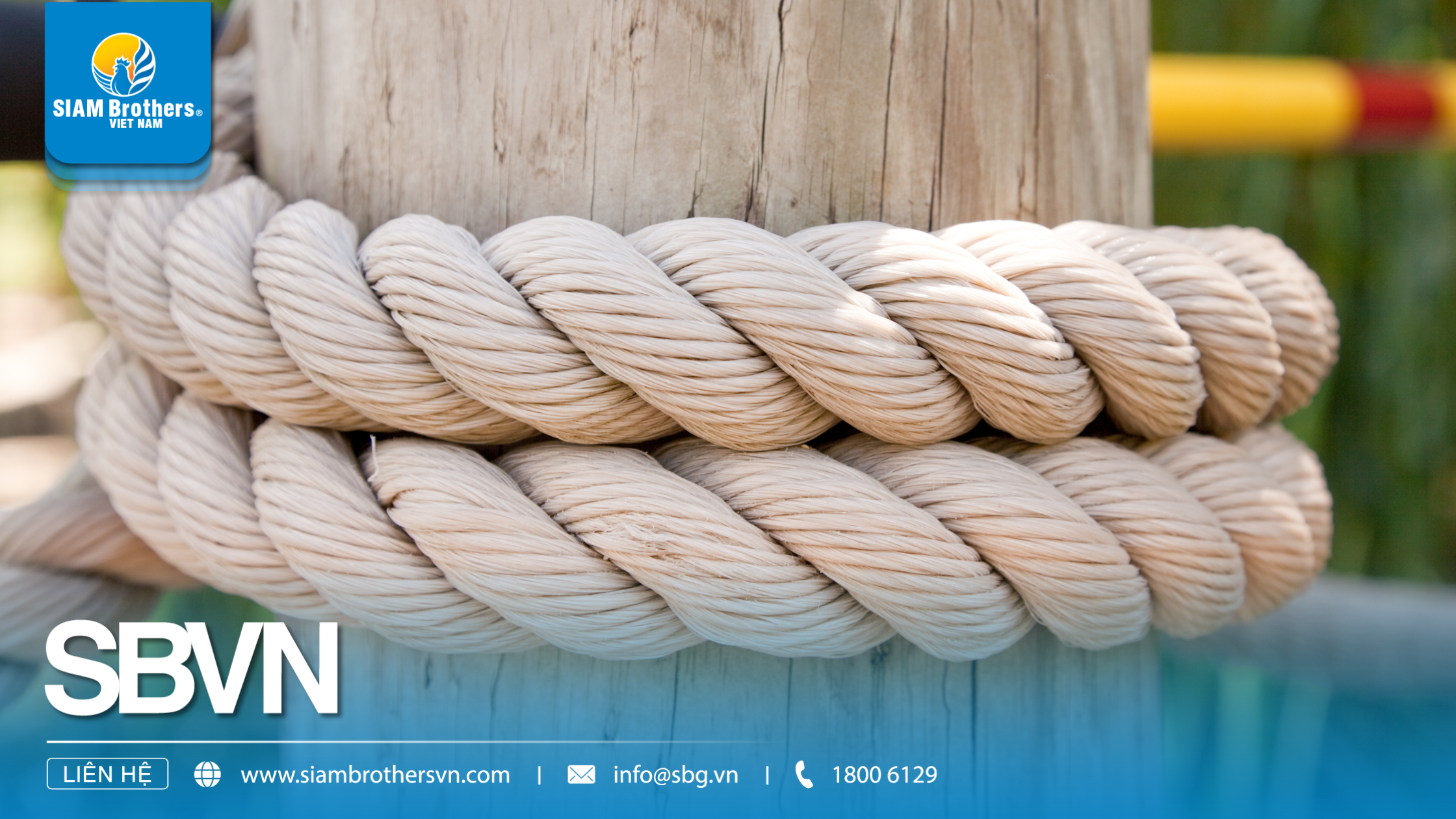 Giá dây thừng sỉ & lẻ: Khác biệt thế nào và nên mua theo hình thức nào?