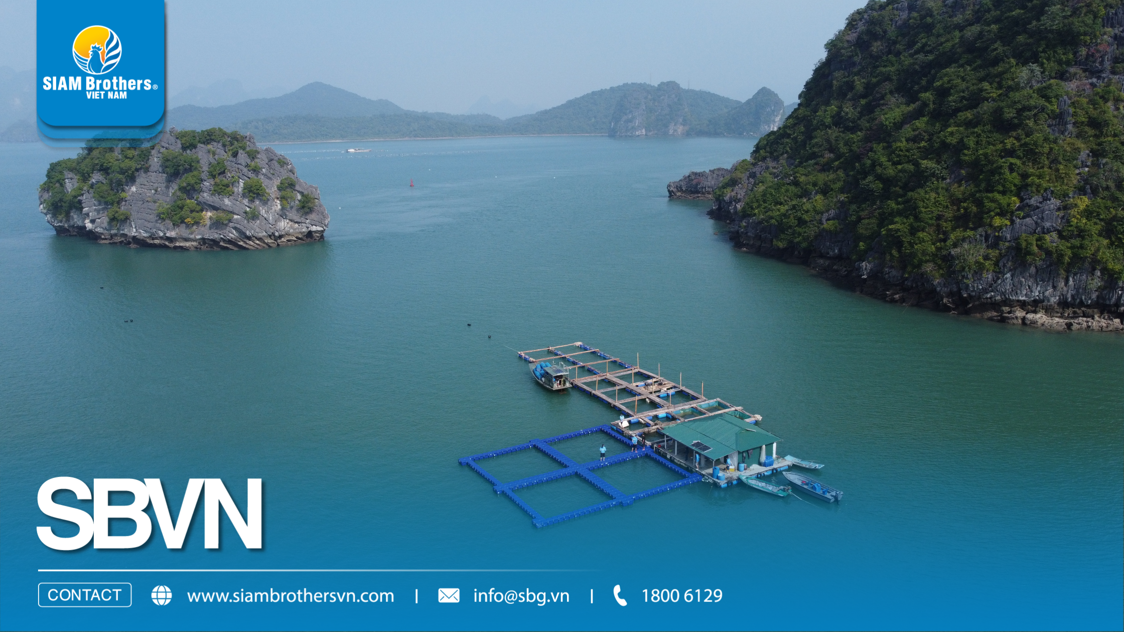 Giải pháp nuôi biển bền vững giúp giảm chi phí vận hành như thế nào?