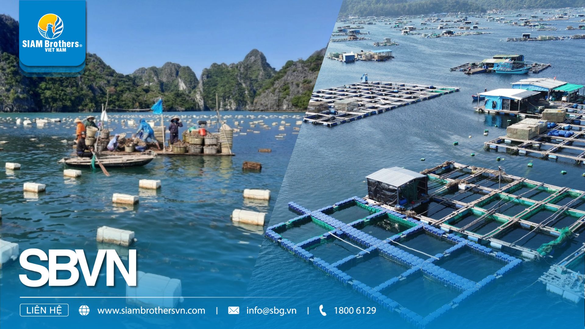 Mô hình mô-đun phao HDPE Siam Brothers Việt Nam nâng năng suất nuôi