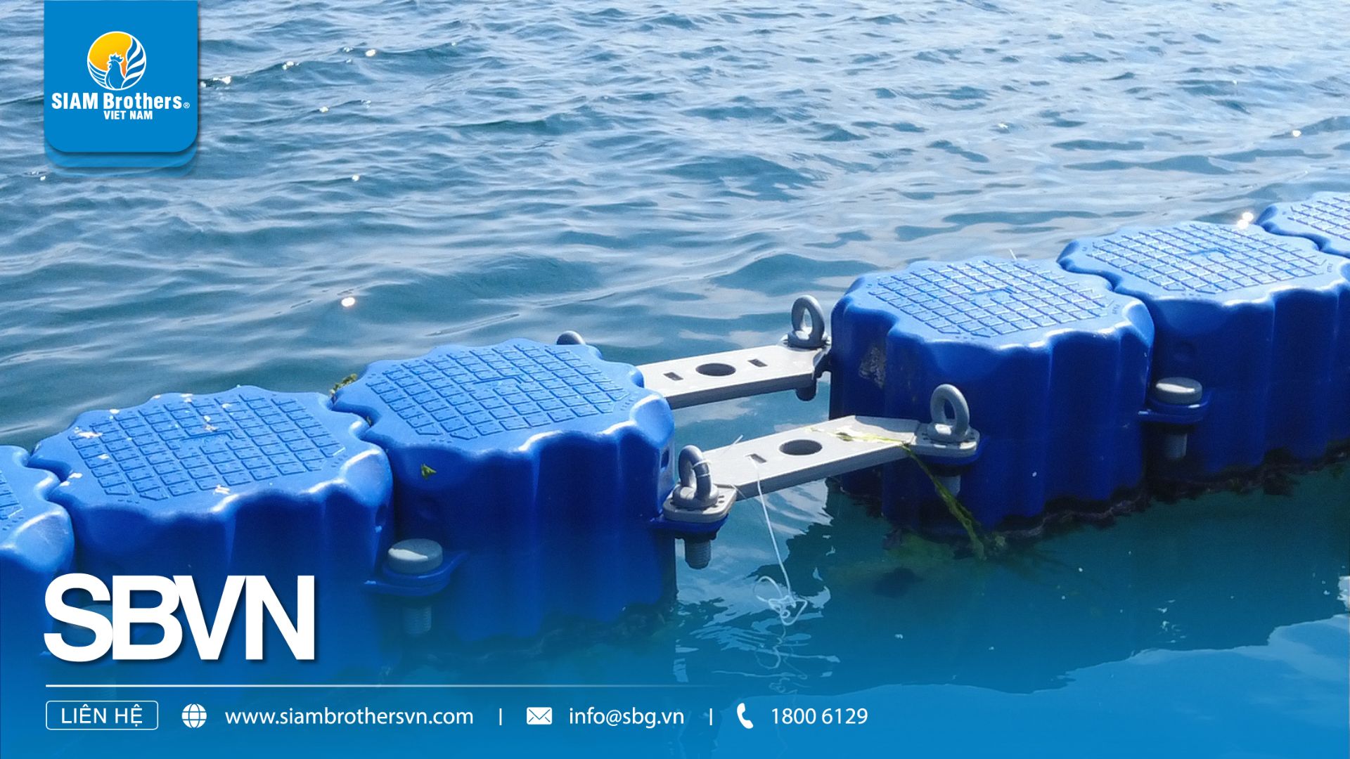 Mô hình mô-đun phao HDPE Siam Brothers Việt Nam nâng năng suất nuôi