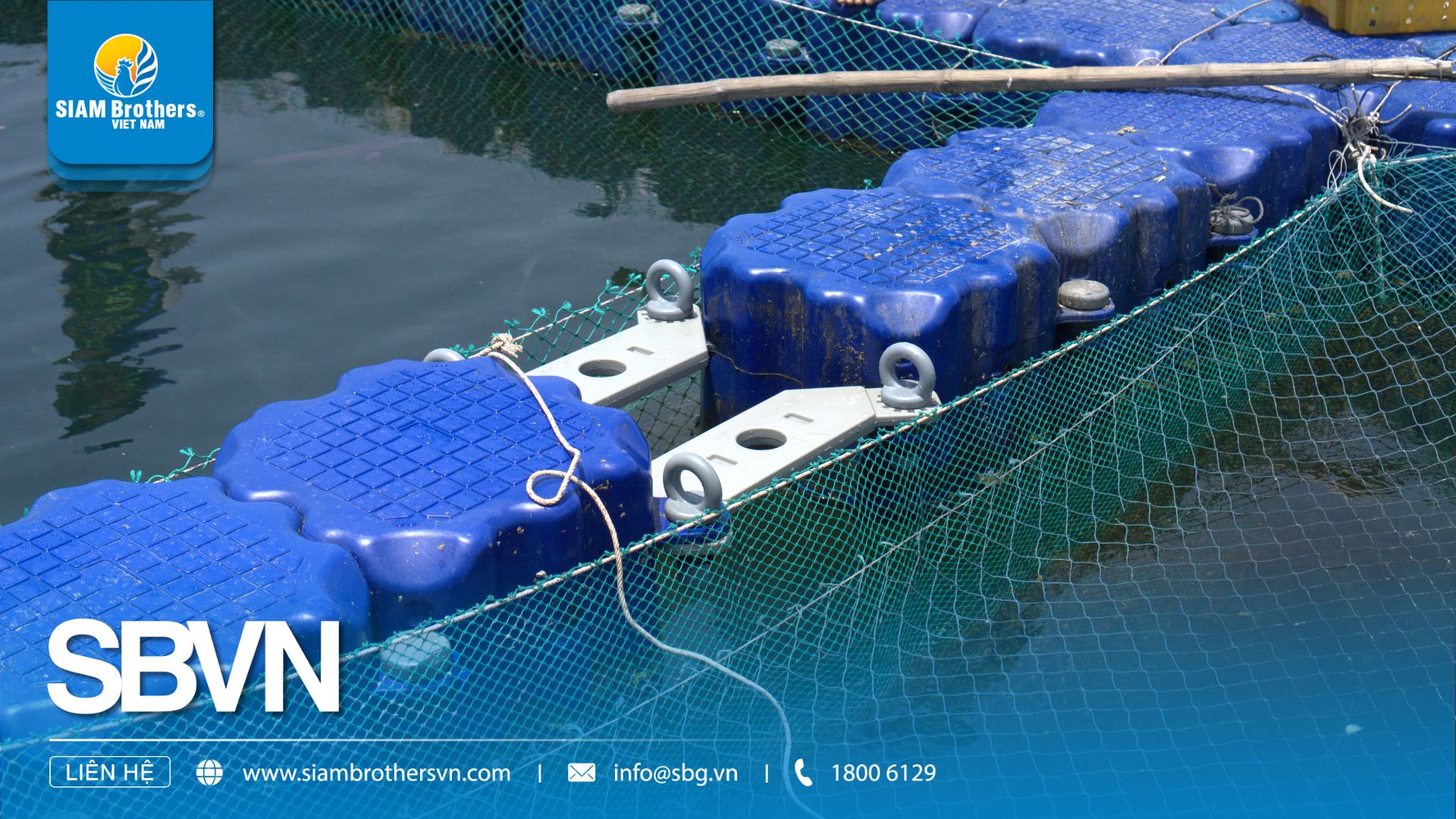 Mô hình mô-đun phao HDPE Siam Brothers Việt Nam nâng năng suất nuôi