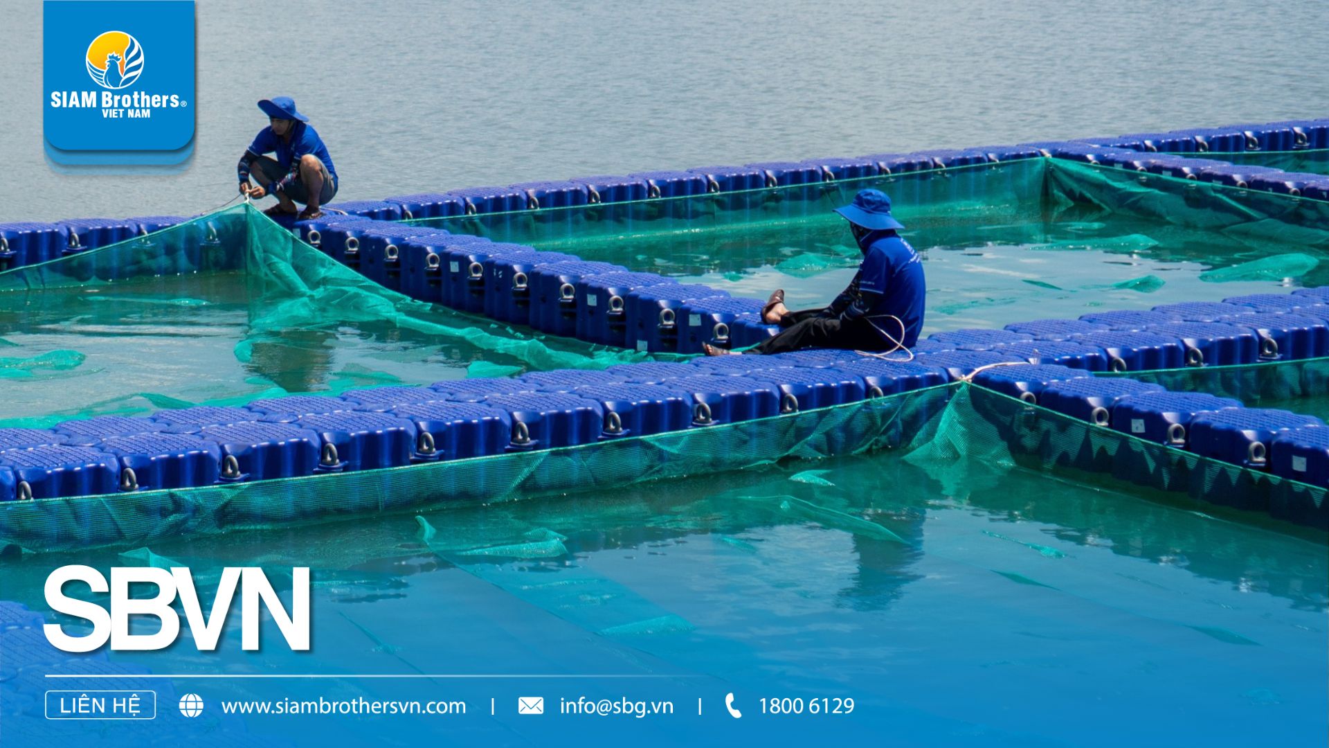 Mô hình mô-đun phao HDPE Siam Brothers Việt Nam nâng năng suất nuôi