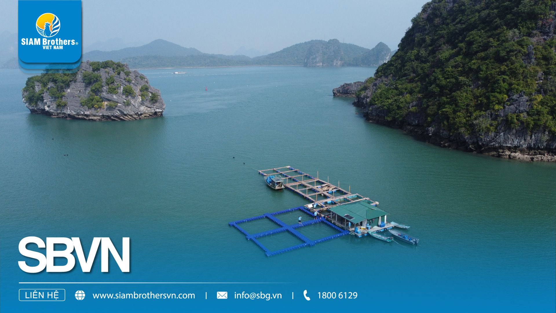 Mô hình mô-đun phao HDPE Siam Brothers Việt Nam nâng năng suất nuôi